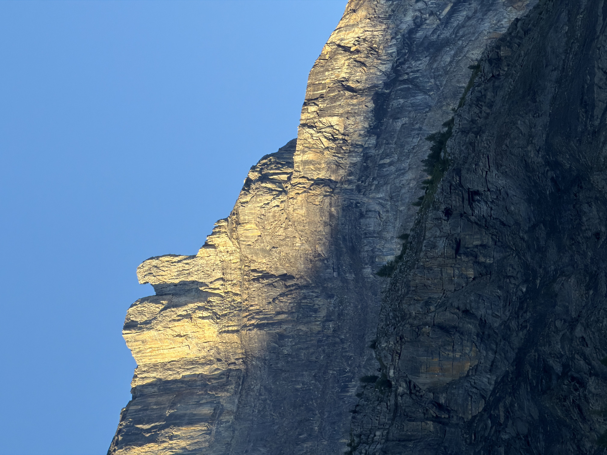 The image depicts a dramatic, sun-drenched cliff face in Kandersteg, Switzerland, under a clear blue sky. The rock formation is imposing, with sheer vertical sections and jagged peaks illuminated by golden sunlight on the upper portions, creating a stark contrast with the shadowed, darker gray and blue-toned lower slopes. Sparse green trees cling precariously to ledges on the mountainside. The overall impression is one of rugged natural beauty, with the light highlighting the texture and geological features of the mountain.