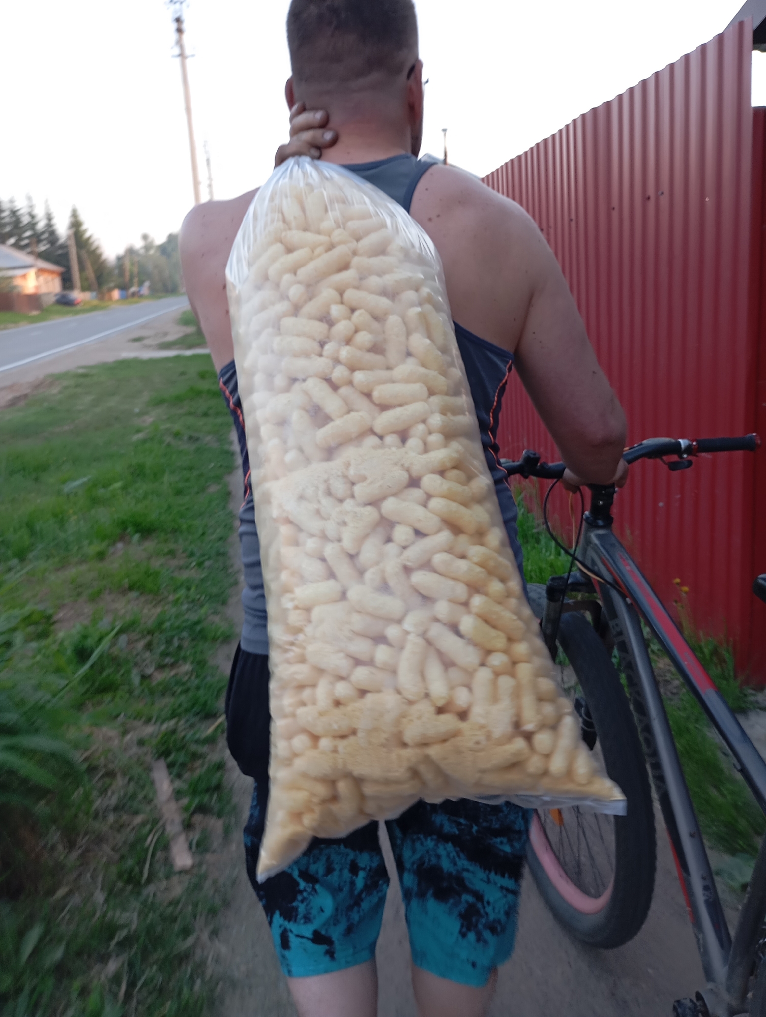 A man is seen from the back, carrying a large clear plastic bag filled with corn puffs over his left shoulder. He is walking next to a bicycle with his left hand on the handlebar. He is wearing a grey tank top with orange trim and dark shorts with a blue and black pattern. The location appears to be a residential area in Unknown, Unknown, as indicated by a road, green grassy areas, a red corrugated fence, and houses in the background. A utility pole is visible in the background.
