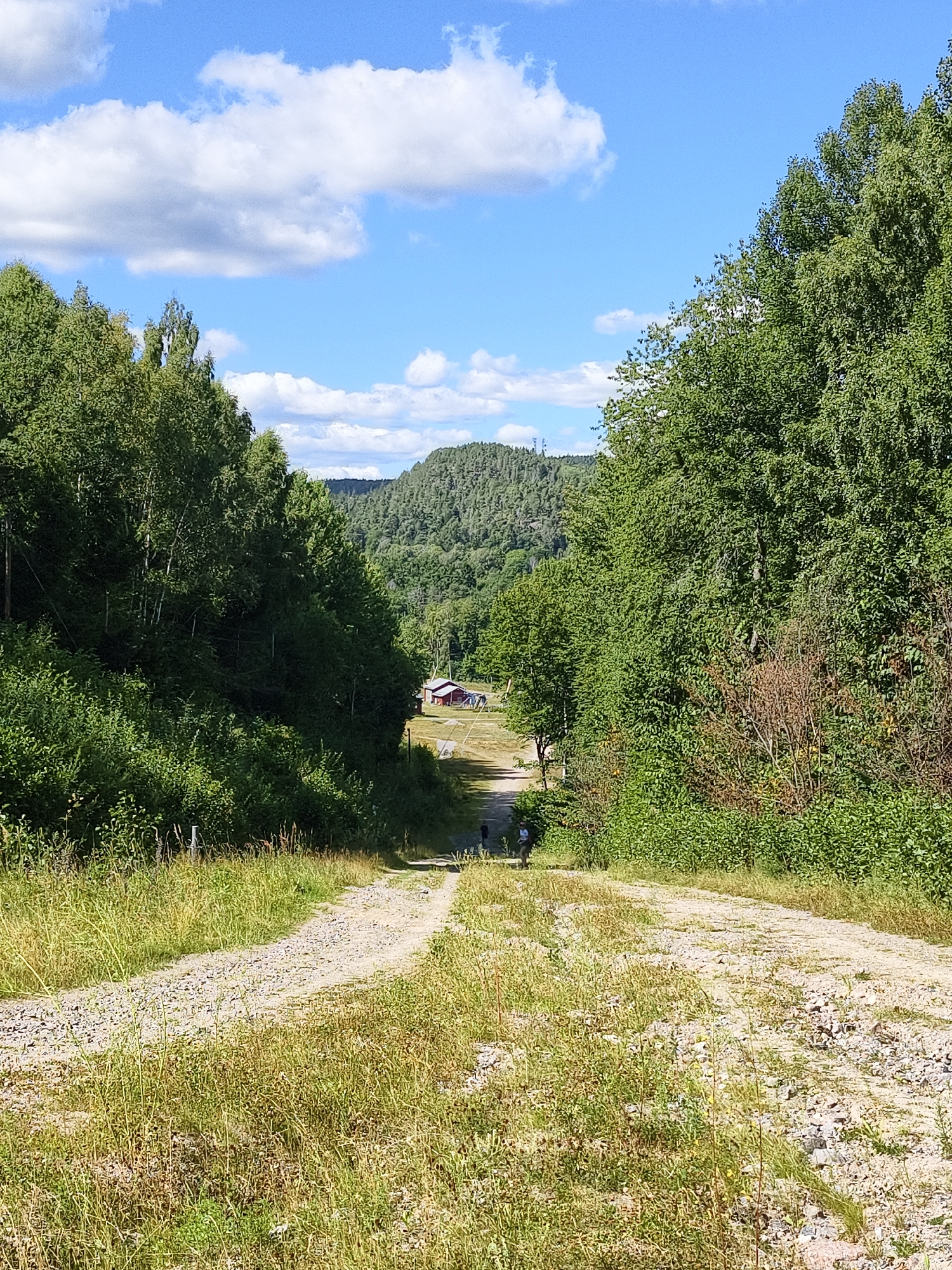 The image depicts a rural scene in Skriketorp, Sweden, on a bright, sunny day. A gravel path winds its way downhill through a lush green forest. The path is flanked on either side by dense foliage and tall trees, suggesting a natural, undeveloped area. In the distance, a red-roofed building is visible, possibly a farmhouse or barn, nestled amongst the trees. Two individuals, appearing to be walking down the path, are present in the middle ground. The sky above is a clear blue, dotted with fluffy white clouds. The overall impression is one of a tranquil, idyllic countryside setting.