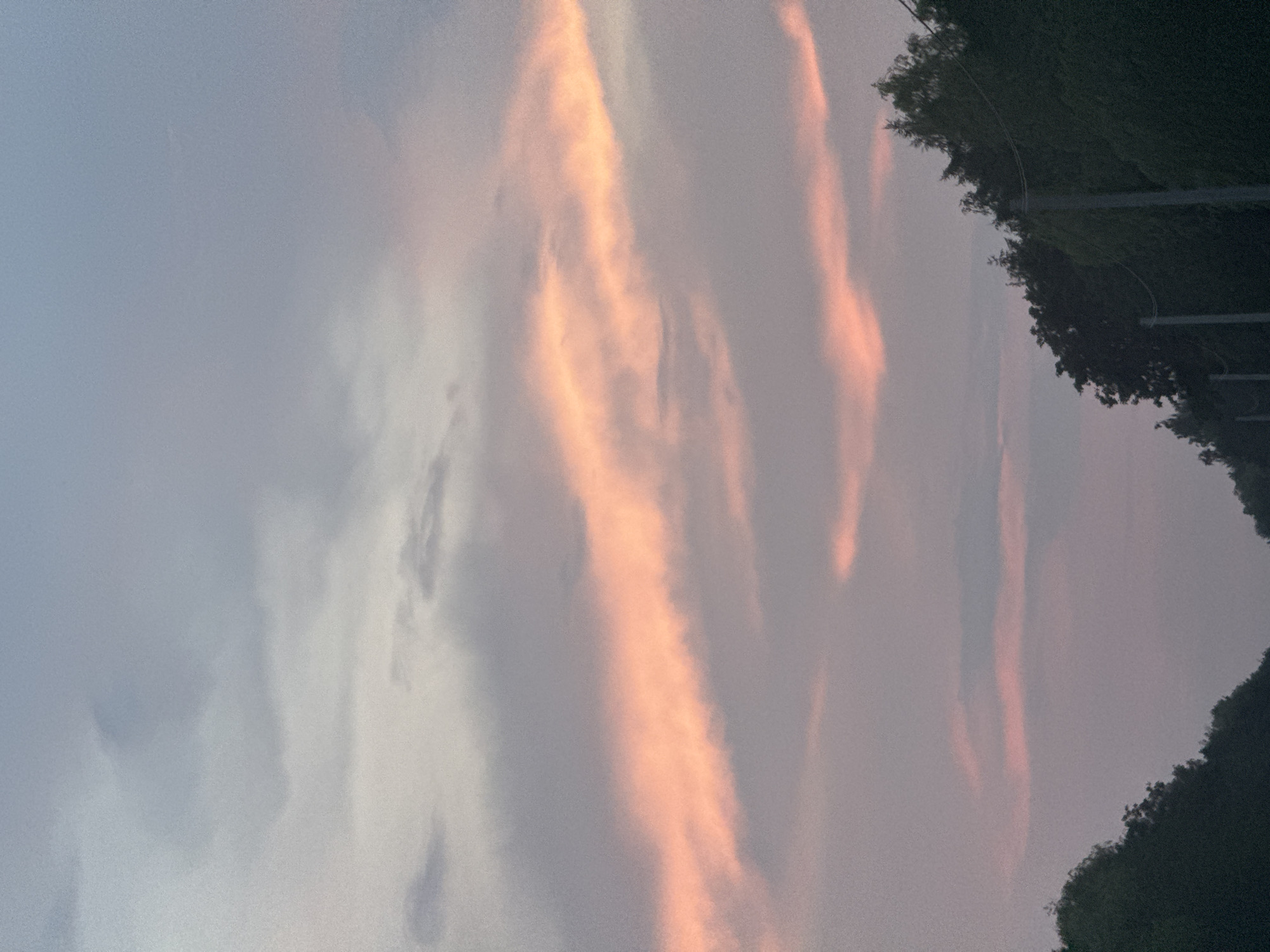 The image shows a view of the sky above the city of Pavliv, Ukraine, during what appears to be sunset or sunrise. The sky is filled with clouds, some of which are illuminated with soft pink and orange hues, while others are a muted gray and blue. The lower part of the image is dominated by a dark silhouette of trees and some utility poles, suggesting the perspective is from ground level, possibly near a road or a clearing. The overall atmosphere is calm and serene, characteristic of a twilight scene. There are no people, animals, or specific structures visible apart from the trees and poles. The lighting is dim, with the primary light source being the colored clouds.