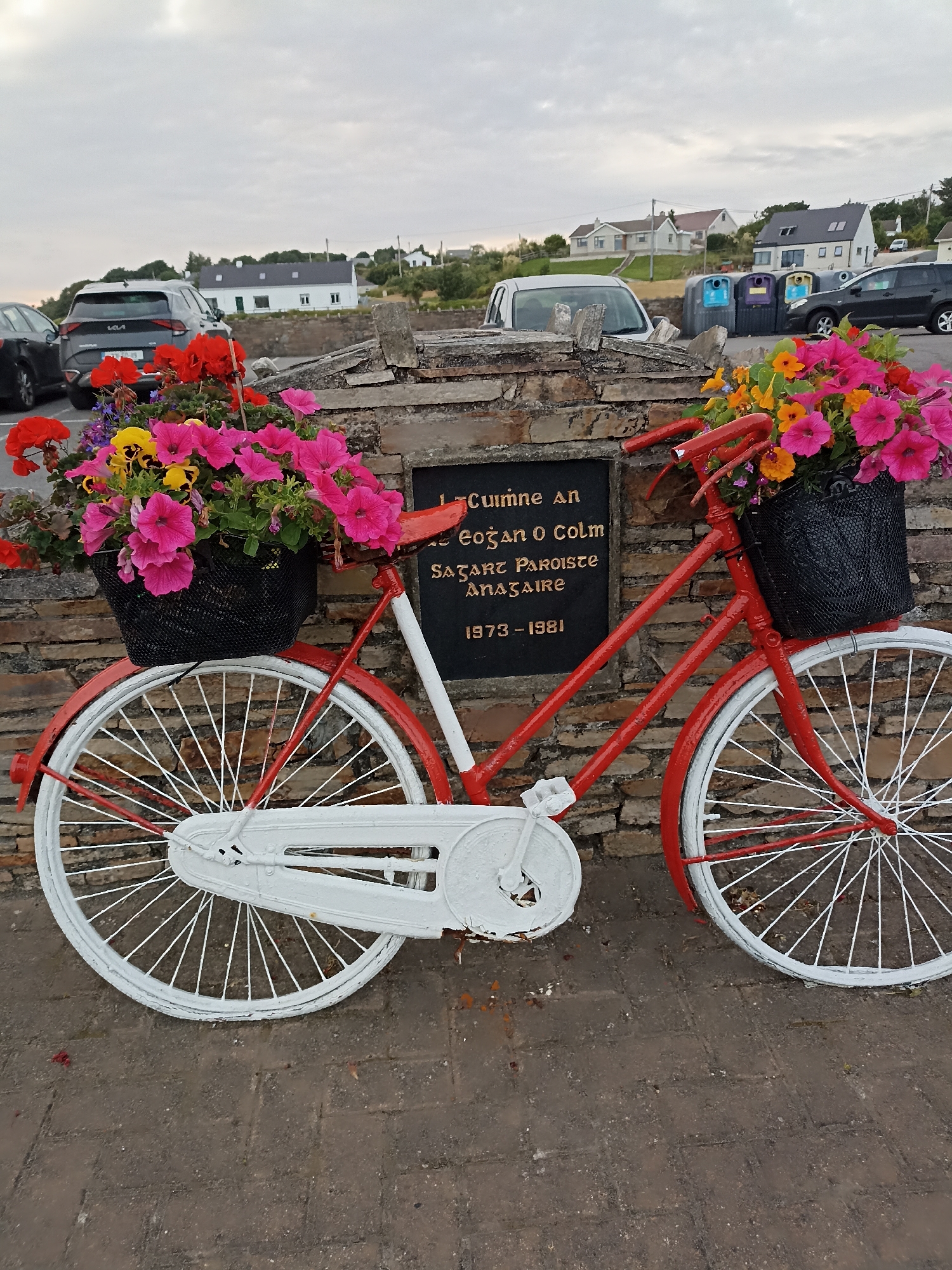 This image depicts a decorative red bicycle with white wheels, adorned with baskets of colorful flowers, set against a stone wall. The bicycle is positioned outdoors, with a street and parked cars visible in the background, alongside some residential buildings and waste bins. A plaque with Irish text is mounted on the stone wall behind the bicycle. The sky is overcast. The scene appears to be in a public area, possibly a street or park in Ireland.