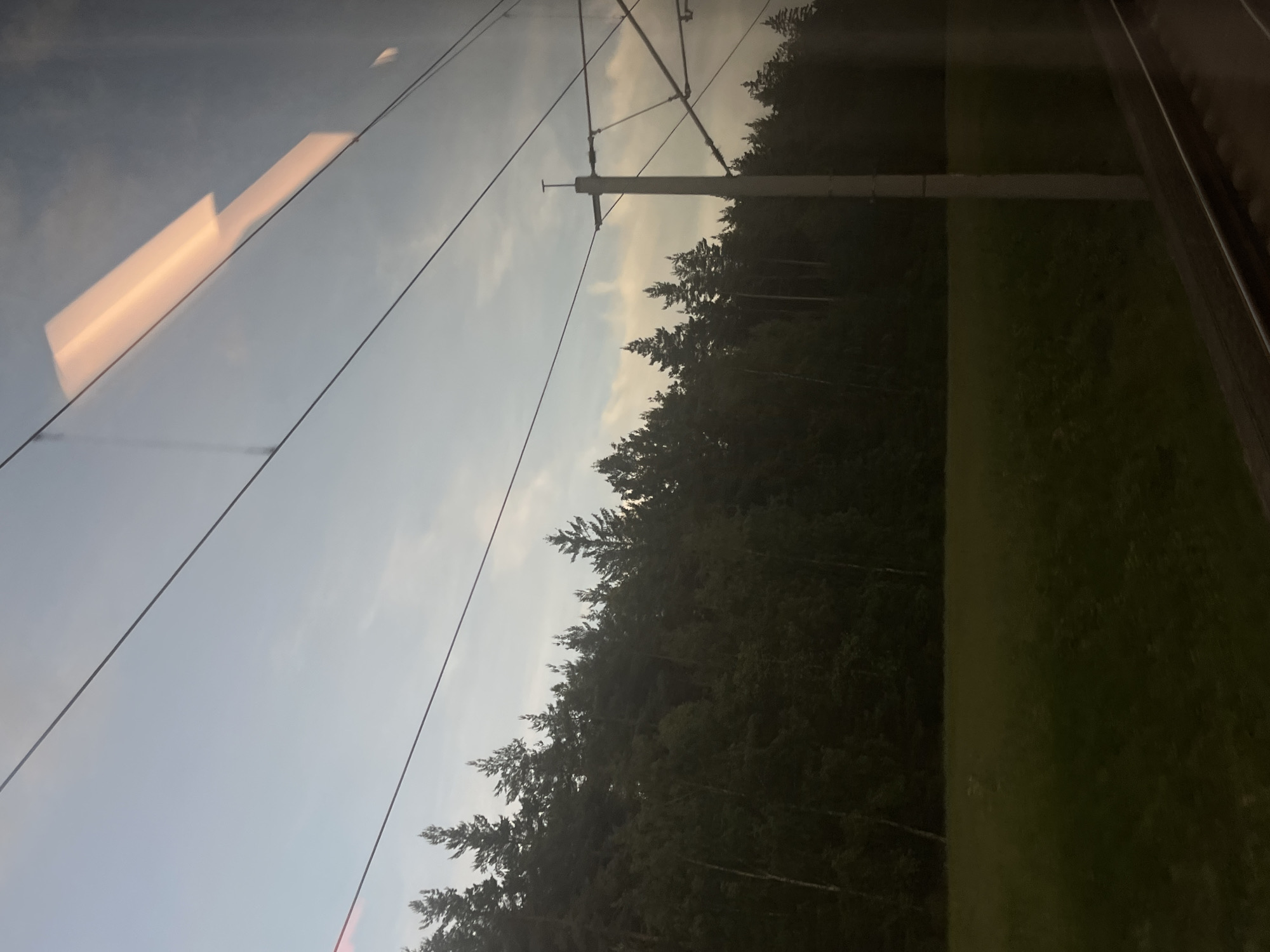 This image depicts a view from a train window, likely near Ilmenau, Germany. The scene is dominated by a dense forest of evergreen trees lining a grassy field. Overhead, power lines stretch across the sky, with a concrete pole supporting them visible on the right side. A reflection of what appears to be a bright, rectangular light fixture is visible on the train window, casting an orange hue onto the sky. The sky itself is a pale blue with some wispy clouds, suggesting either early morning or late evening light. The train tracks are visible in the lower right corner of the image. There are no people or animals visible in the scene. The overall impression is one of a quiet, natural landscape viewed during transit.