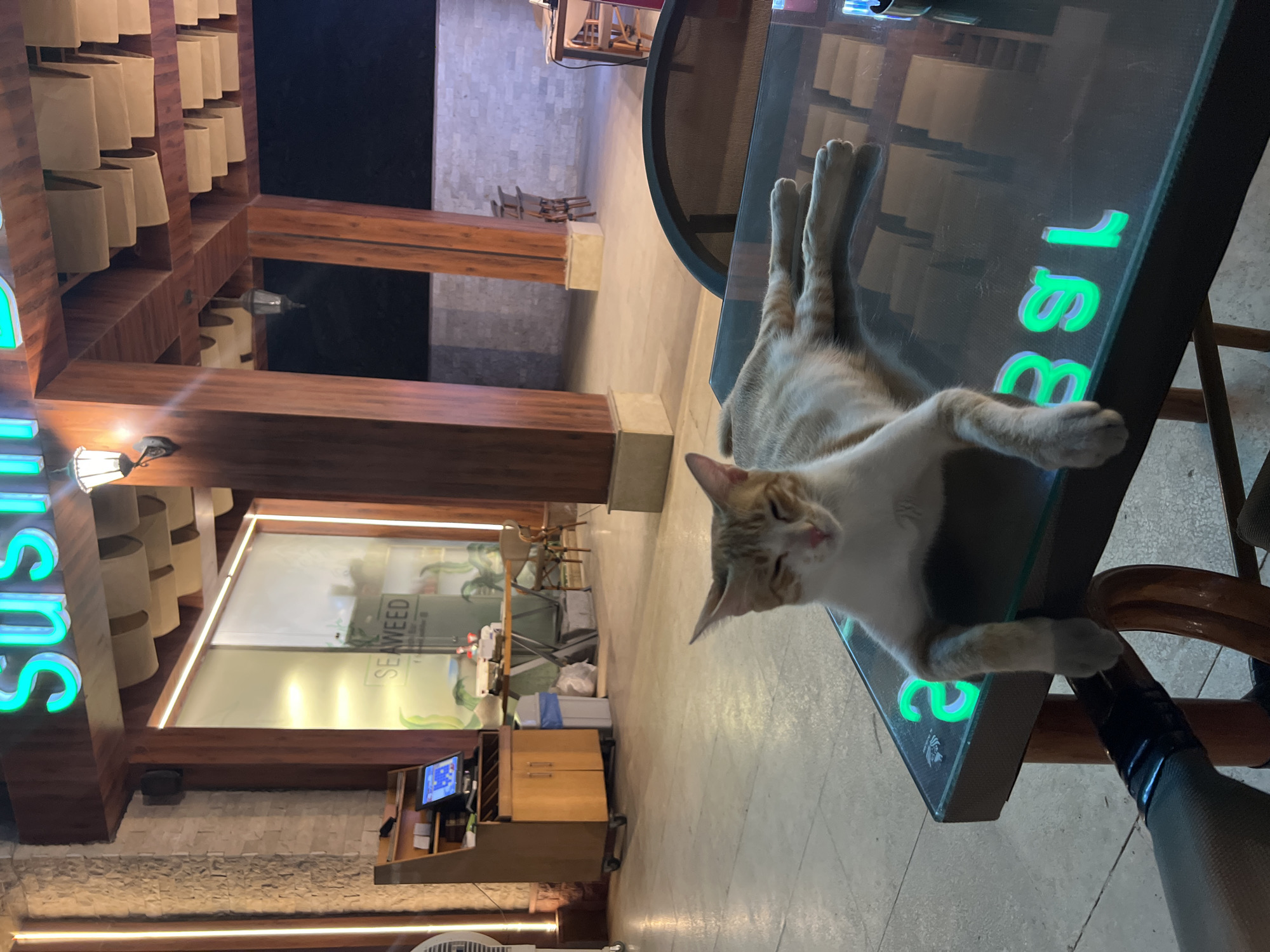 An orange and white cat is lying on its side on a glass-topped table in an outdoor seating area. The cat is looking at the camera with its eyes partially closed. The table has neon green lettering on it, which appears to spell out "SUSHI BAR". Behind the table, there is a building with wooden beams and a sign that reads "SUSHI" in neon green letters. There is also a cash register, a trash can, and some chairs visible in the background. The environment appears to be a restaurant or cafe in Sharm El Sheikh, Egypt, possibly on the Naama Bay promenade, given the commonality of sushi restaurants and outdoor seating in that area.