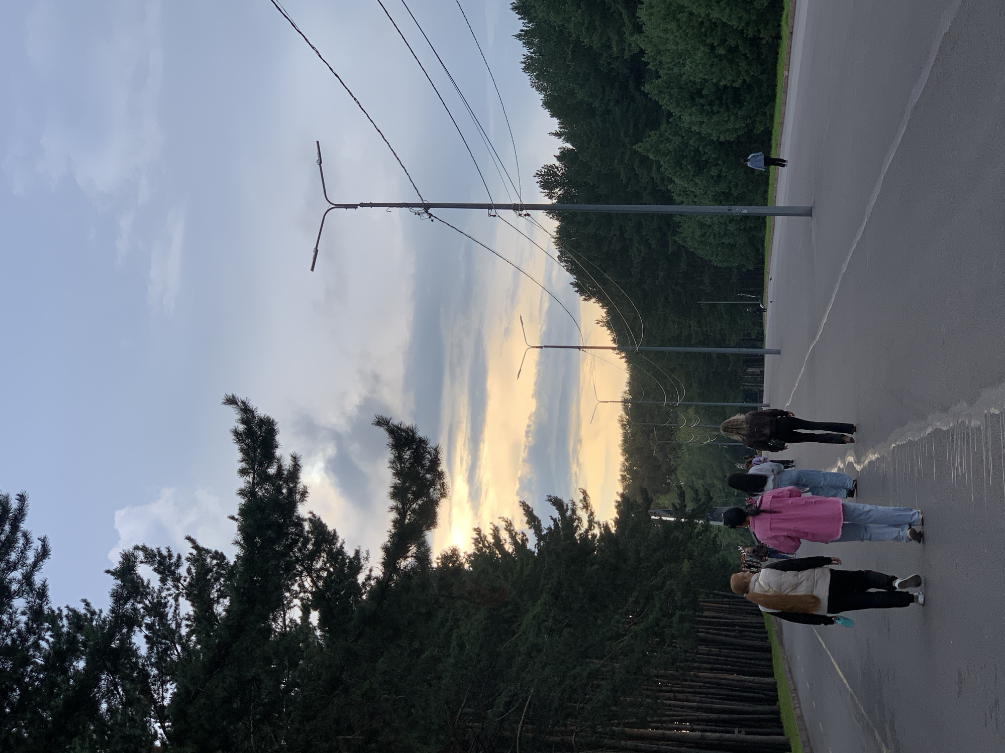 An asphalt road stretches into the distance, flanked on the left by a dense line of tall pine trees and on the right by a forest of deciduous trees. The sky above is a mix of blue and gray clouds, with a soft, diffused light suggesting either dawn or dusk. Several lampposts are positioned along the right side of the road, with electrical wires strung between them.
In the foreground, four individuals are walking away from the camera on the road. The first two are closer to the camera and appear to be women. The woman on the left has long, blonde hair tied in a ponytail and is wearing a light-colored vest over dark clothing. The woman next to her, slightly ahead, has dark hair and is wearing a bright pink jacket and light blue jeans. Further down the road, two more figures are visible, also walking away from the camera. One is wearing dark clothing and appears to be a woman, and another is further in the distance and is smaller in frame, walking on the right edge of the road.
The overall impression is of a public park or a scenic road on the outskirts of a city, possibly Prokopyevsk, Russia, given the context. The atmosphere is calm and serene, with the natural landscape dominating the scene.