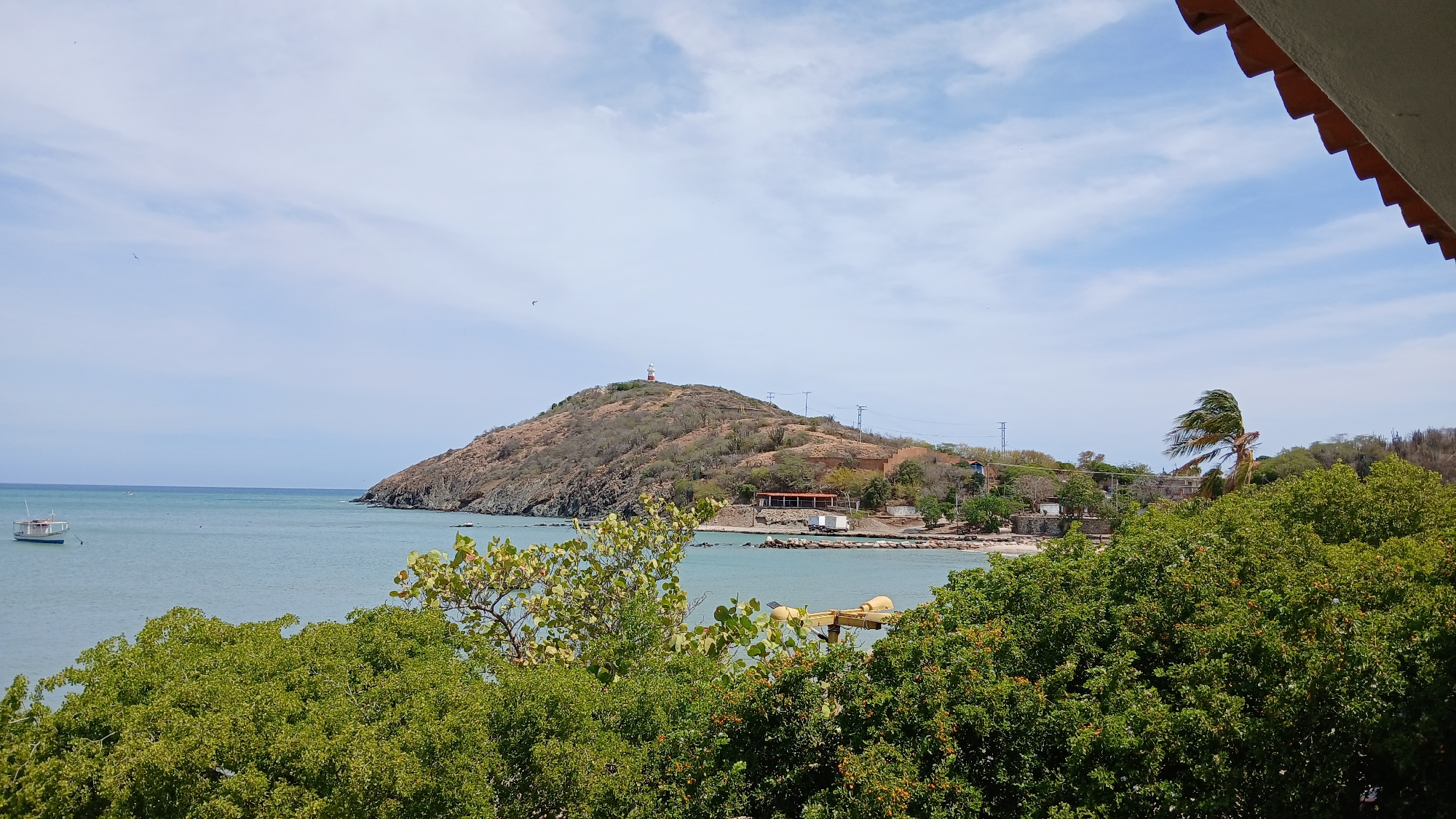 The image depicts a coastal landscape in Pedro González, Isla Margarita, Venezuela, viewed from an elevated perspective, indicated by a partial red-tiled roof segment visible in the upper right quadrant. The foreground features dense, vibrant green foliage from various trees and bushes. The midground presents a calm body of light blue-green water, identified as a bay. A white and blue fishing boat is anchored in the water on the far left. The shoreline, composed of sandy and rocky sections, contains several low-rise buildings with reddish roofs, including an open-sided structure, and a white commercial vehicle parked near a rocky breakwater. A prominent palm tree on the right side of the midground exhibits fronds heavily bent to the left, indicating significant wind. The background is dominated by a large, arid hill covered in dry scrub and scattered cacti. Multiple utility poles and power lines traverse the hill. A red and white striped lighthouse stands conspicuously at the summit of the hill. The sky is clear blue with scattered white, wispy clouds, and several small specks, possibly birds, are visible in the distance.