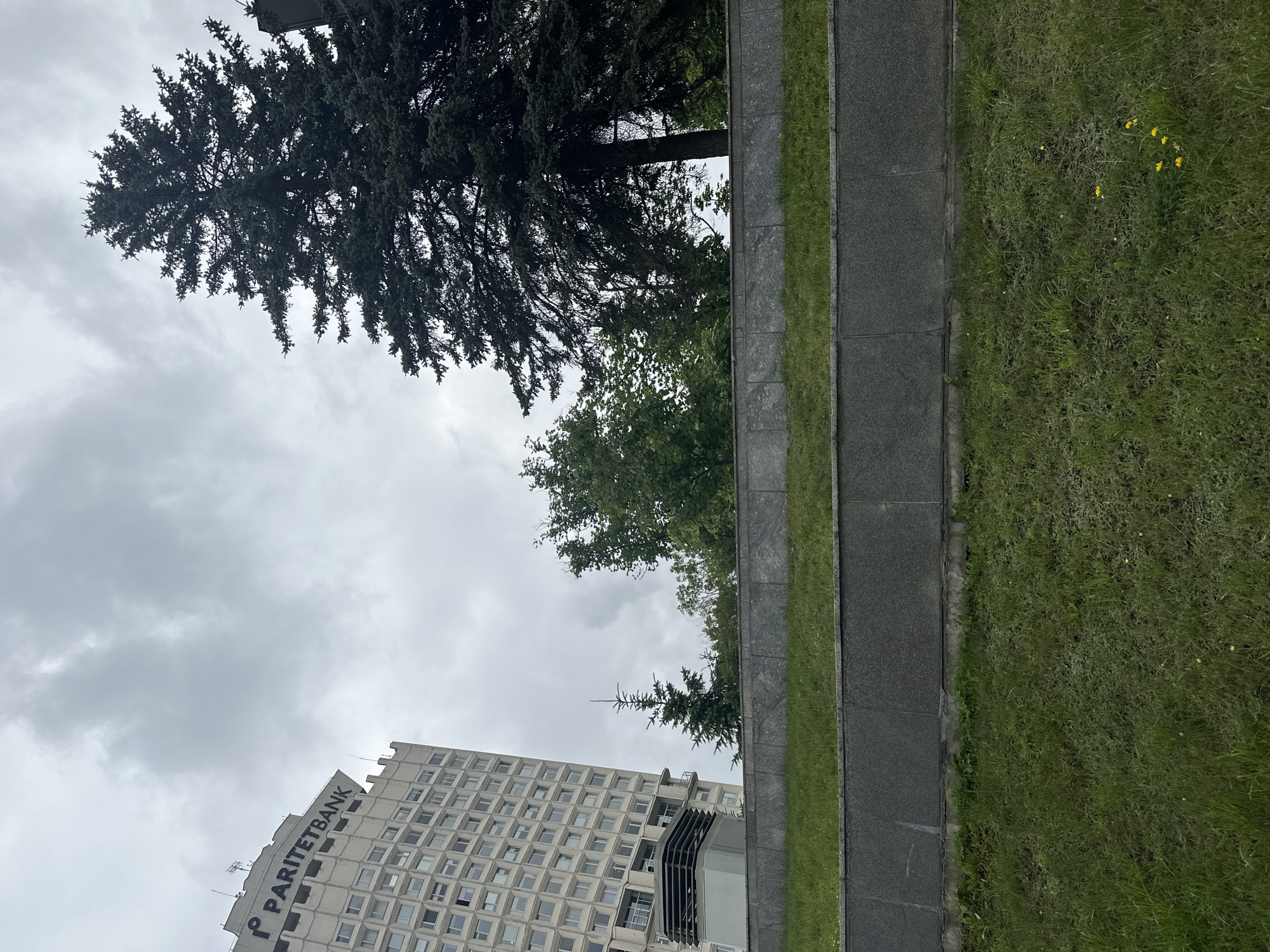 The image captures a view of the PARITETBANK building in Minsk, Belarus. The building is a tall, multi-story structure with a distinct architectural style, featuring numerous windows and a prominent sign on its upper facade. In front of the building, a large evergreen tree dominates the right side of the frame, its dark green needles contrasting with the overcast sky. To the left of the evergreen, smaller trees and greenery are visible, forming a layered landscape. A concrete retaining wall with a grey stone finish runs horizontally across the mid-section of the image, separating the elevated area with the trees from the grassy foreground. The foreground consists of a well-maintained lawn with patches of dandelions scattered throughout. The sky is cloudy and grey, suggesting an overcast day.