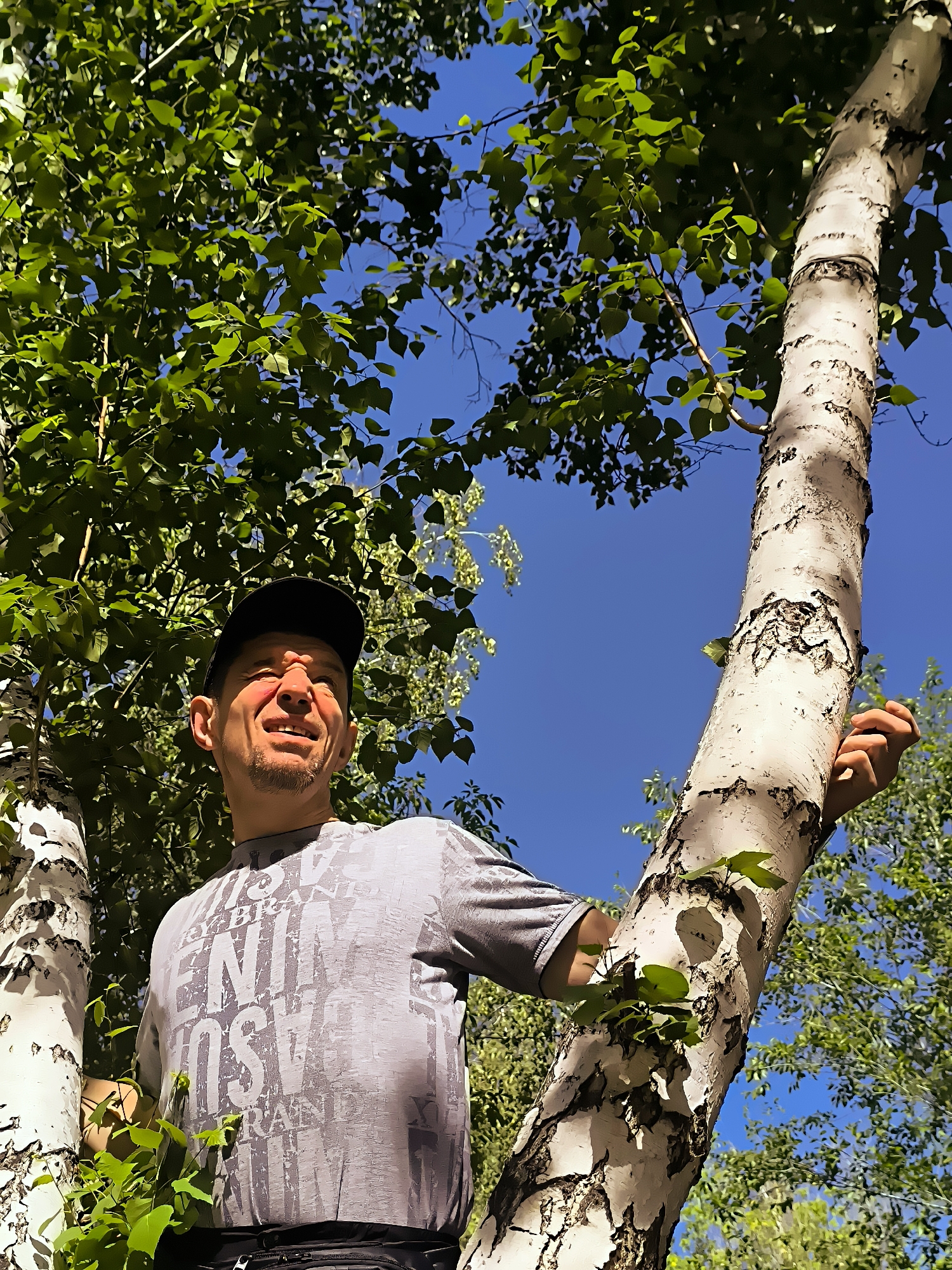 An outdoor, low-angle shot captures a man in a grey t-shirt and a black baseball cap looking up at the sky, positioned between two birch trees against a clear blue sky. The man's right hand is resting on the trunk of the larger birch tree to his right. Green leaves from the trees fill the upper portion of the frame, with dappled sunlight illuminating the scene.