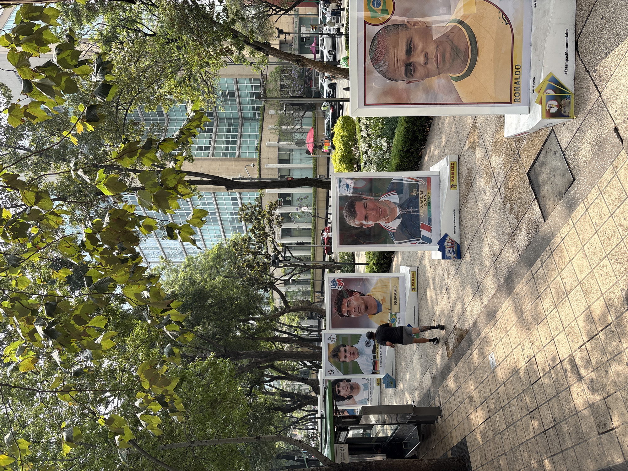 The image captures a street exhibit in Mexico City, Mexico, showcasing large, poster-sized prints of famous soccer players from the Panini sticker collection. The posters, featuring players such as Ronaldo, Zinedine Zidane, Romario, and Diego Maradona, are displayed upright along a sidewalk lined with trees. A person is seen walking past the exhibit. The backdrop consists of a modern building with grid-pattern windows and other urban elements like cars and streetlights. The sidewalk is paved with stone tiles. The sky is visible through the trees.