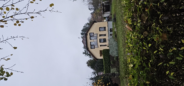 The image depicts a two-story detached house situated on a gentle incline in Kamenz - Kamjenc, Germany, under an overcast, light gray sky. The house features a light yellow stucco facade, a brown tiled gabled roof, and multiple dark-framed windows; some appear to have light-colored curtains. A second-floor balcony with a dark railing extends from the front of the house. The ground level displays a dark gray lower section, with a recessed entrance visible on the left side.
In the immediate foreground, a dense, dark green hedge occupies the lower portion of the frame. Moving towards the house, a landscaped garden area is visible, featuring various low-lying shrubs, some green, others with a silvery-gray appearance. A manicured dark green hedge borders the front of the house at ground level.
The background and sides of the property are characterized by numerous trees, including both evergreen conifers and deciduous trees with sparse, yellowish-green leaves, indicative of autumn. To the right of the house, a small, light-colored utility shed or outbuilding is visible, with a dark vehicle partially obscured behind it. Overhead, bare tree branches with a few remaining yellowish-green leaves frame the top of the image. No individuals are present in the scene.