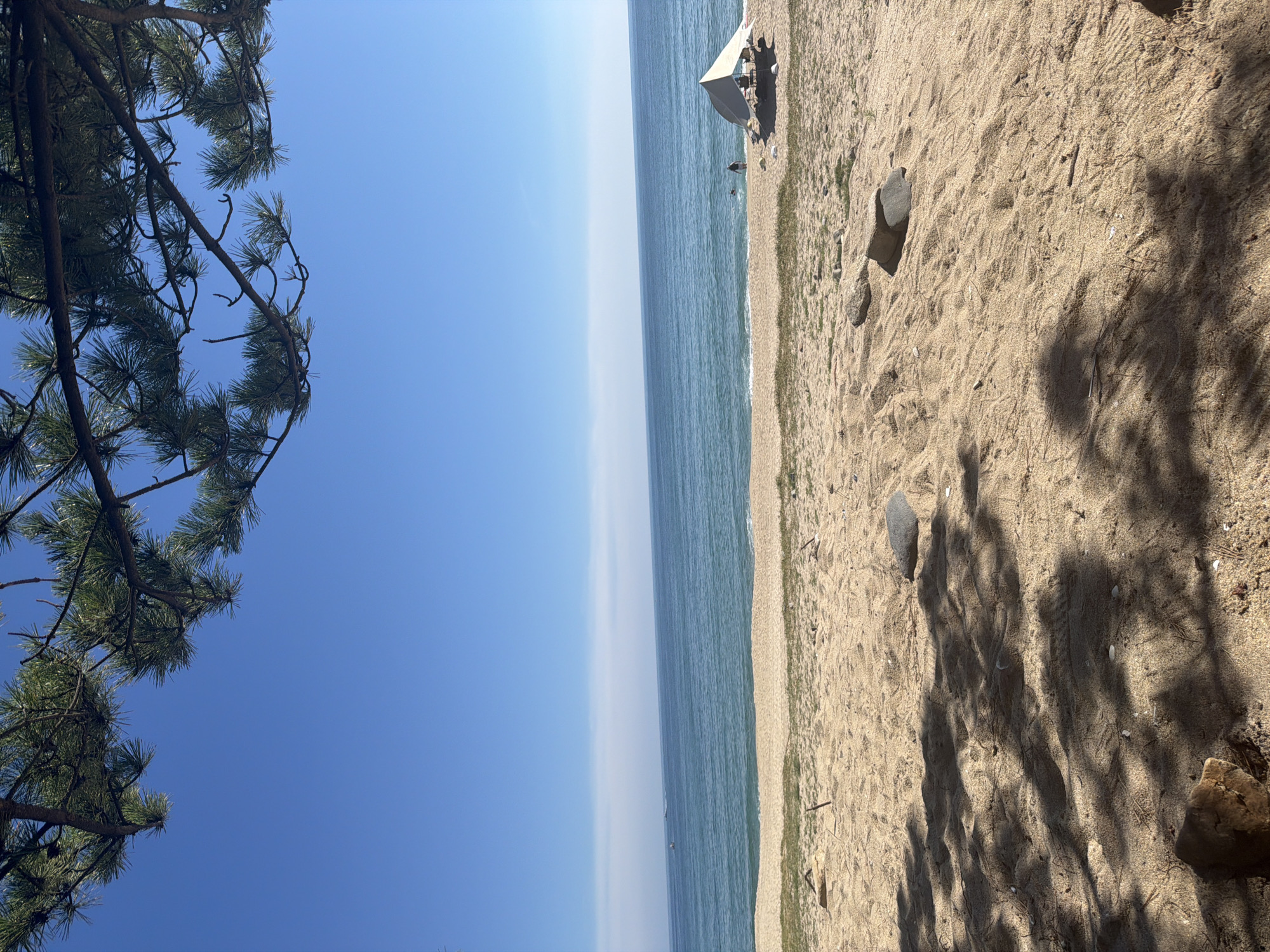A serene beach scene unfolds under a clear blue sky in Gangneung-si, South Korea. The foreground is dominated by golden sand, partially shaded by the dappled shadows of overhead pine branches. Scattered rocks and small twigs are visible on the sand.
Further back, a gentle wave laps against the shore, separating the sandy expanse from the calm, blue ocean. In the middle ground, a white, pyramid-shaped canopy tent is set up on the beach, with chairs and possibly a table positioned beneath it. To the left of the tent, a person is standing near the water, and further out in the sea, two small boats are visible. The horizon is marked by a subtle line where the sea meets the sky, with a faint band of lighter blue or haze stretching across. The overall atmosphere is peaceful and natural.