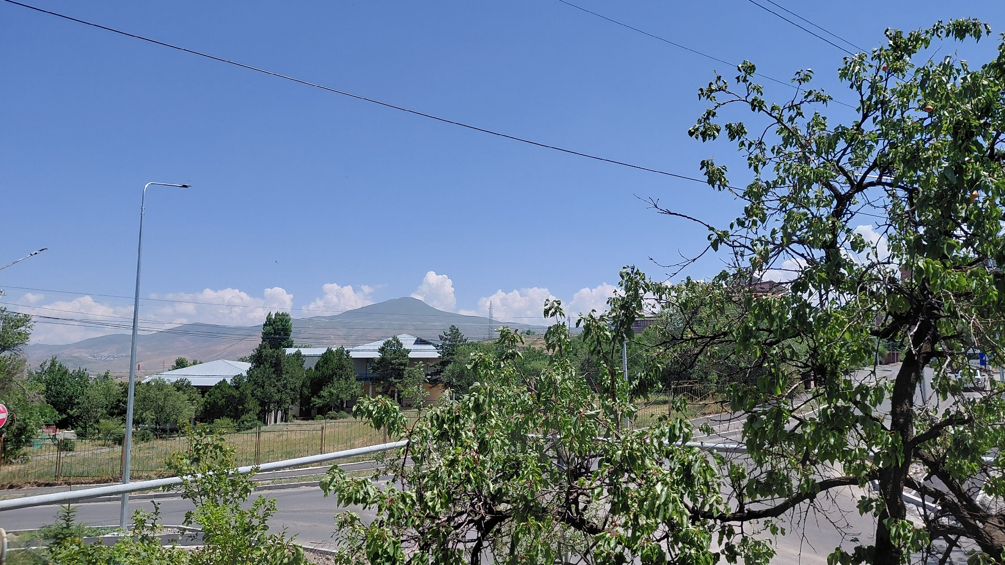 This image captures a panoramic view of a semi-urban landscape in Abovyan, Armenia, under a clear blue sky with scattered white clouds. In the foreground, a large deciduous tree with green leaves and some visible fruit dominates the right side of the frame, its branches extending across the upper half of the image. To the left, a tall, slender lamppost stands prominently, with another lamppost partially visible in the far distance. Beyond the foreground tree and lamppost, the middle ground features a street or road running horizontally across the image, with a fence bordering a grassy area. Several buildings with white roofs are nestled amongst a variety of green trees, suggesting a park or institutional area. In the background, a majestic mountain, possibly Mount Hatis, rises in the distance, its slopes a muted brown and green, with a few more clouds clustered around its peak. The overall scene suggests a peaceful daytime setting in a city with proximity to natural landscapes.