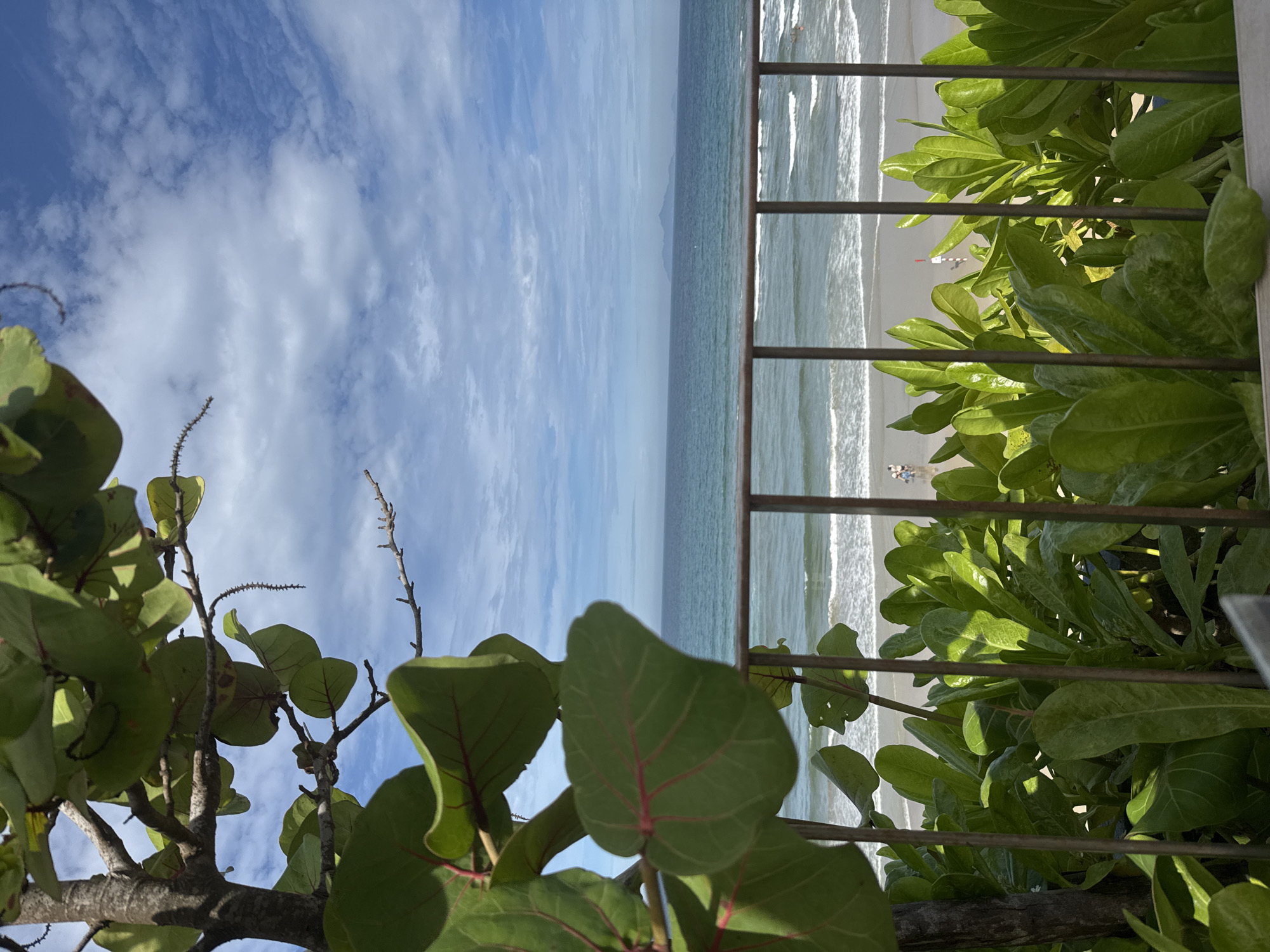 The image is taken from behind a railing, partially obscured by green foliage. A coastal scene unfolds, with a light blue sky exhibiting some cloud cover. The ocean appears calm and stretches out to the horizon. A sandy beach is visible, with a few indiscernible figures scattered along the shore. The location is likely in Đà Nẵng, Vietnam, given the architectural style and geography.