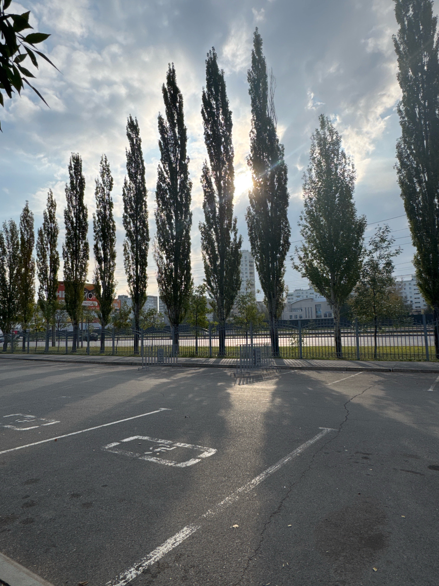 The image shows a row of tall, slender trees lining a street in Ufa, Russia, with a parking lot in the foreground. The sun is shining through the trees, creating a dappled light effect on the asphalt. There are parking spaces marked on the ground with white lines. In the background, buildings and a fence can be seen. The sky is partly cloudy.