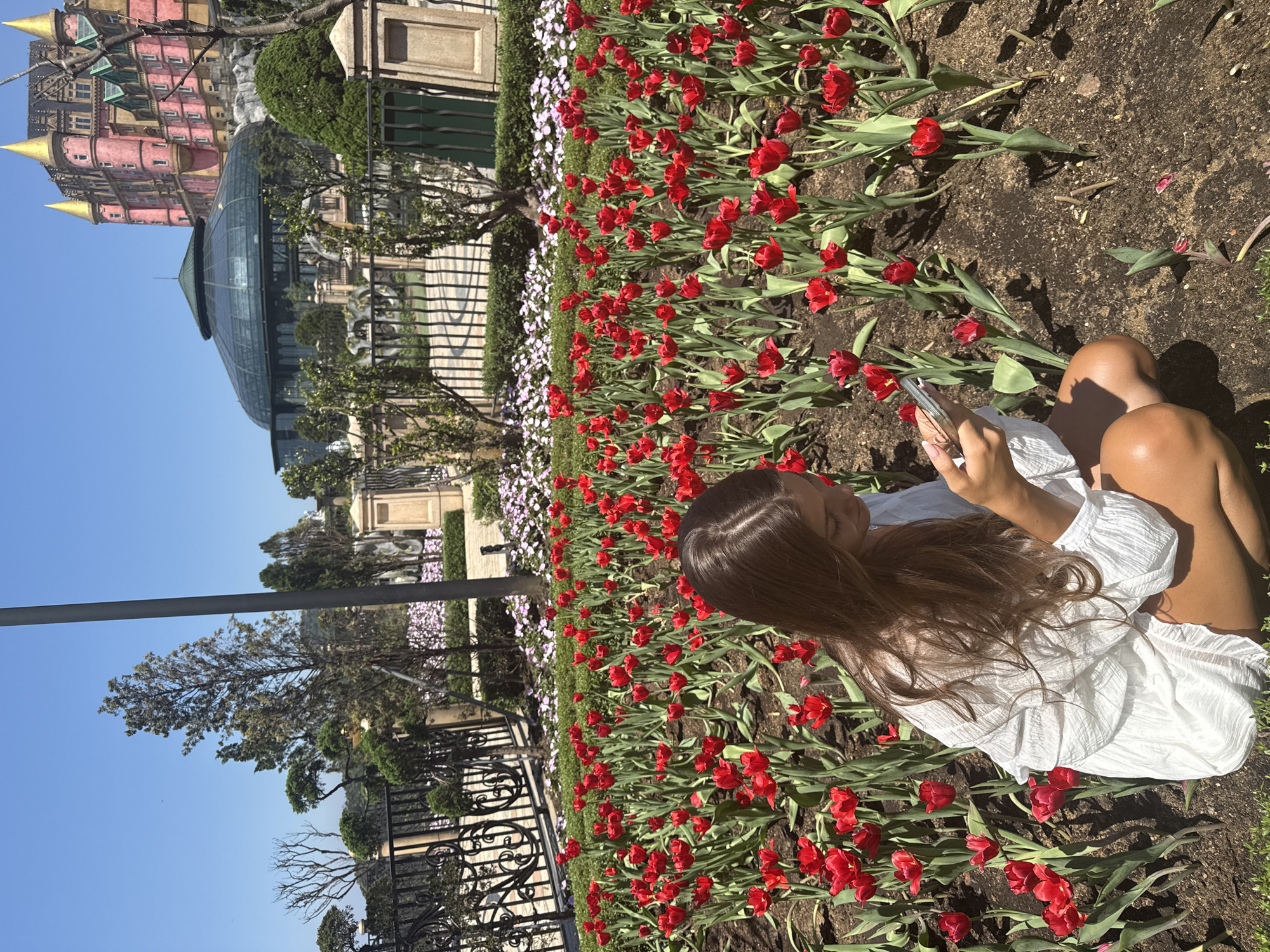 A young woman with long, brown hair sits among a field of red tulips. She is wearing a white, long-sleeved shirt and is holding a mobile phone in her hands. She appears to be looking at the phone's screen. The tulip field is bordered by a low fence and a variety of green plants. Behind the fence, there are buildings with unique architectural styles, including a dome-shaped glass structure and a pink building with golden spires. The sky is clear and blue. This scene is in Ba Na Hills, Đà Nẵng, Vietnam.