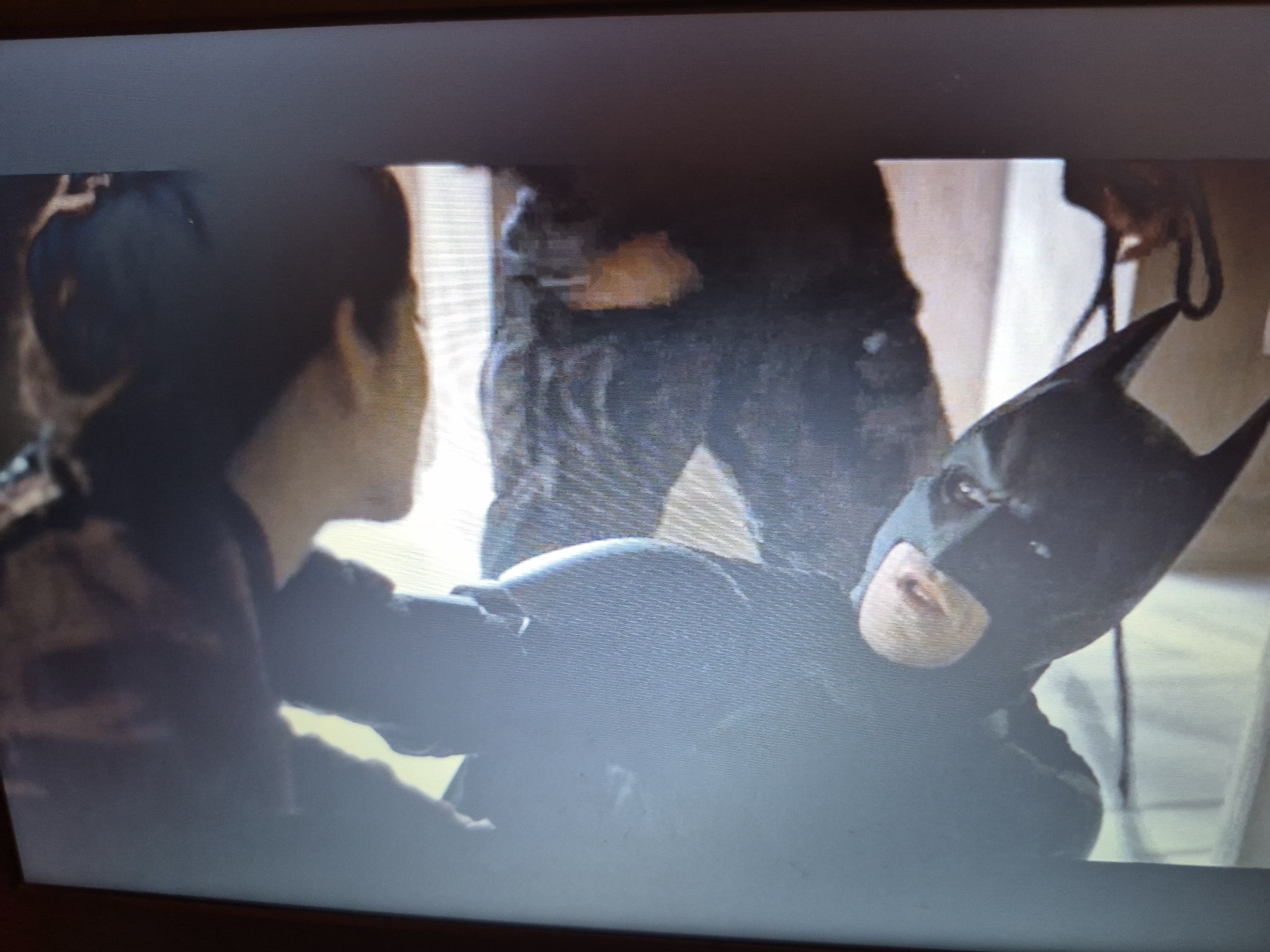 In a dimly lit indoor setting, two figures are the primary focus. On the right, a person wearing a Batman costume is partially visible, with the cowl and mask dominating the foreground. The mask is dark, with pointed ears, and the lower portion of the face, including the mouth and chin, is visible. The person appears to be lying down or leaning forward. To the left, another individual, seemingly an adult, is seen from the side, looking towards the Batman figure. This person has dark hair and is wearing dark clothing. The background is indistinct, with suggestions of wooden surfaces and walls, but the specific location within the city of Sandwell, United Kingdom, cannot be determined from the visual information provided. The lighting is low, creating shadows and obscuring details of the environment.