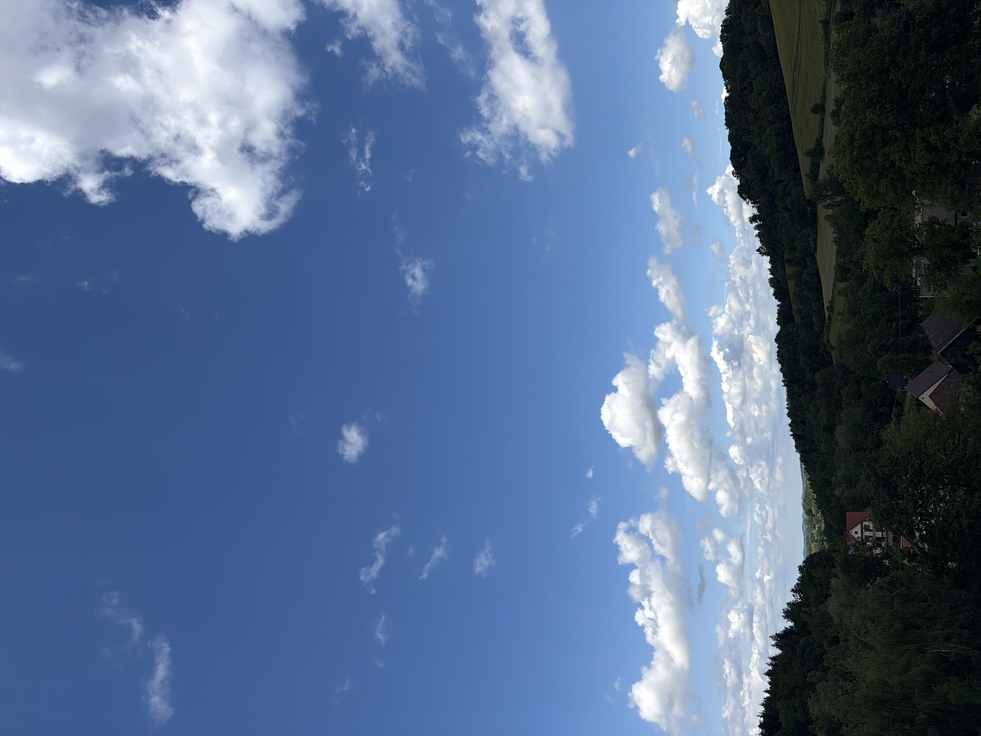 The image depicts a pastoral landscape under a bright blue sky dotted with white cumulus clouds. The foreground is dominated by dense, dark green foliage, suggesting a forest or heavily wooded area. Among the trees, several buildings are visible, including a white house with a red roof and another smaller building with a dark roof. In the midground, rolling hills covered in green vegetation, possibly fields and more trees, are apparent. The horizon is lined with a soft, hazy outline of more distant hills. The scene is natural and serene, with no people or animals present. The overall impression is one of rural tranquility and natural beauty. The location is identified as Stróża, Poland.