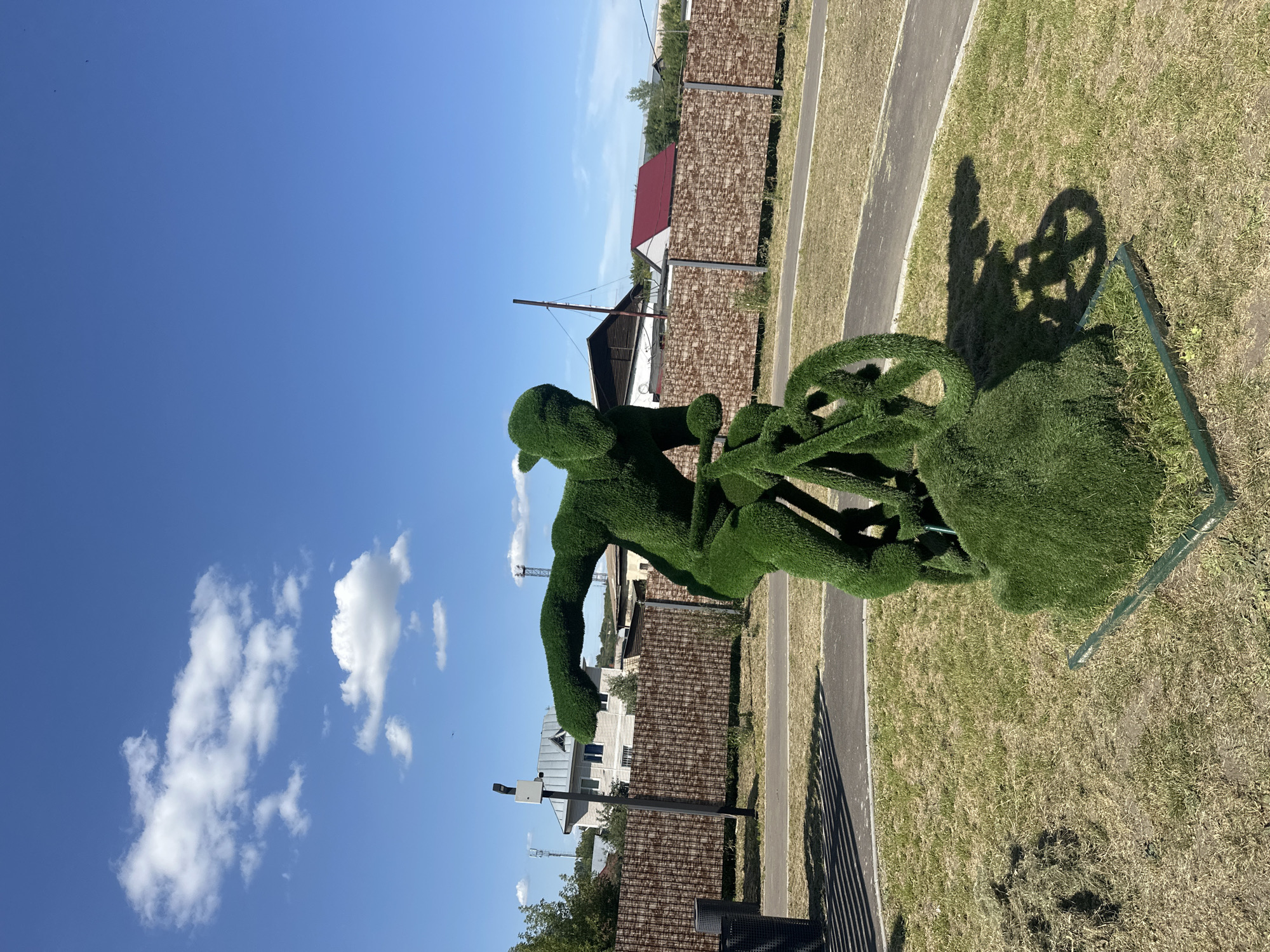 The image depicts a topiary sculpture of a cyclist in motion, crafted from green artificial turf. The sculpture is positioned outdoors on a patch of grass, with a paved pathway curving around it. In the background, a brown fence with a textured pattern separates the grassy area from a residential area. Several houses with different roof colors and building materials are visible behind the fence, along with utility poles and some trees. The sky is clear blue with scattered white clouds. The sun casts a distinct shadow of the cyclist and bicycle onto the grass. A trash bin is visible to the left of the sculpture. The overall setting appears to be a public park or outdoor recreational space in the city of Biysk, Russia.