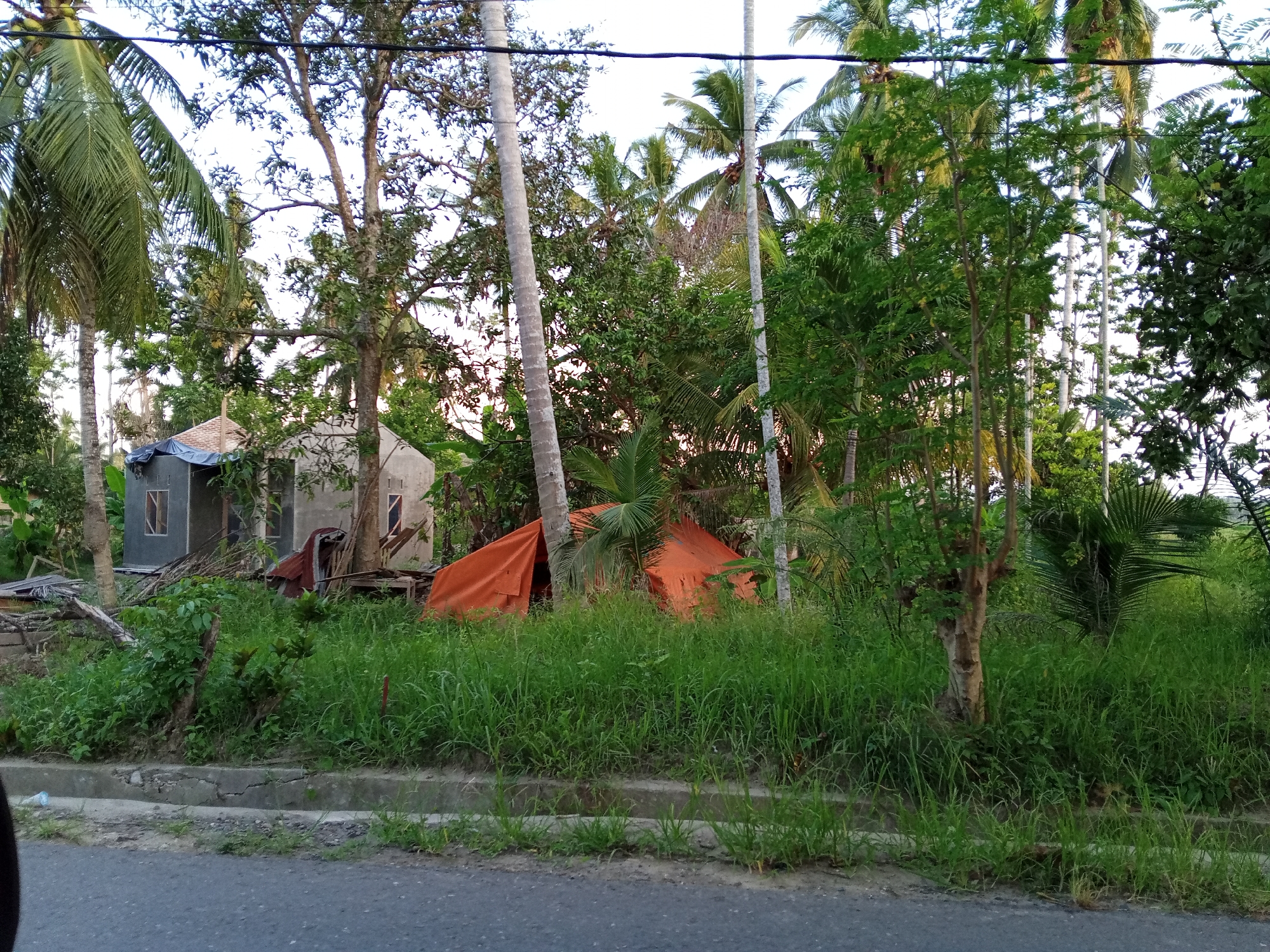 The image depicts a roadside scene in Pantebaroglesiblah, Indonesia. The foreground features a section of asphalt road and a concrete curb separating it from a grassy verge. Beyond the verge is dense vegetation that includes tall grass and various trees, including palms. An orange tarpaulin structure, possibly a makeshift shelter or a partially collapsed tent, is visible among the foliage. Further back are two small, incomplete concrete structures, which appear to be houses under construction or in disrepair, their windows framed but lacking glass. Discarded wood and metal sheets are visible near the houses. The sky is partially obscured by the trees and appears light.