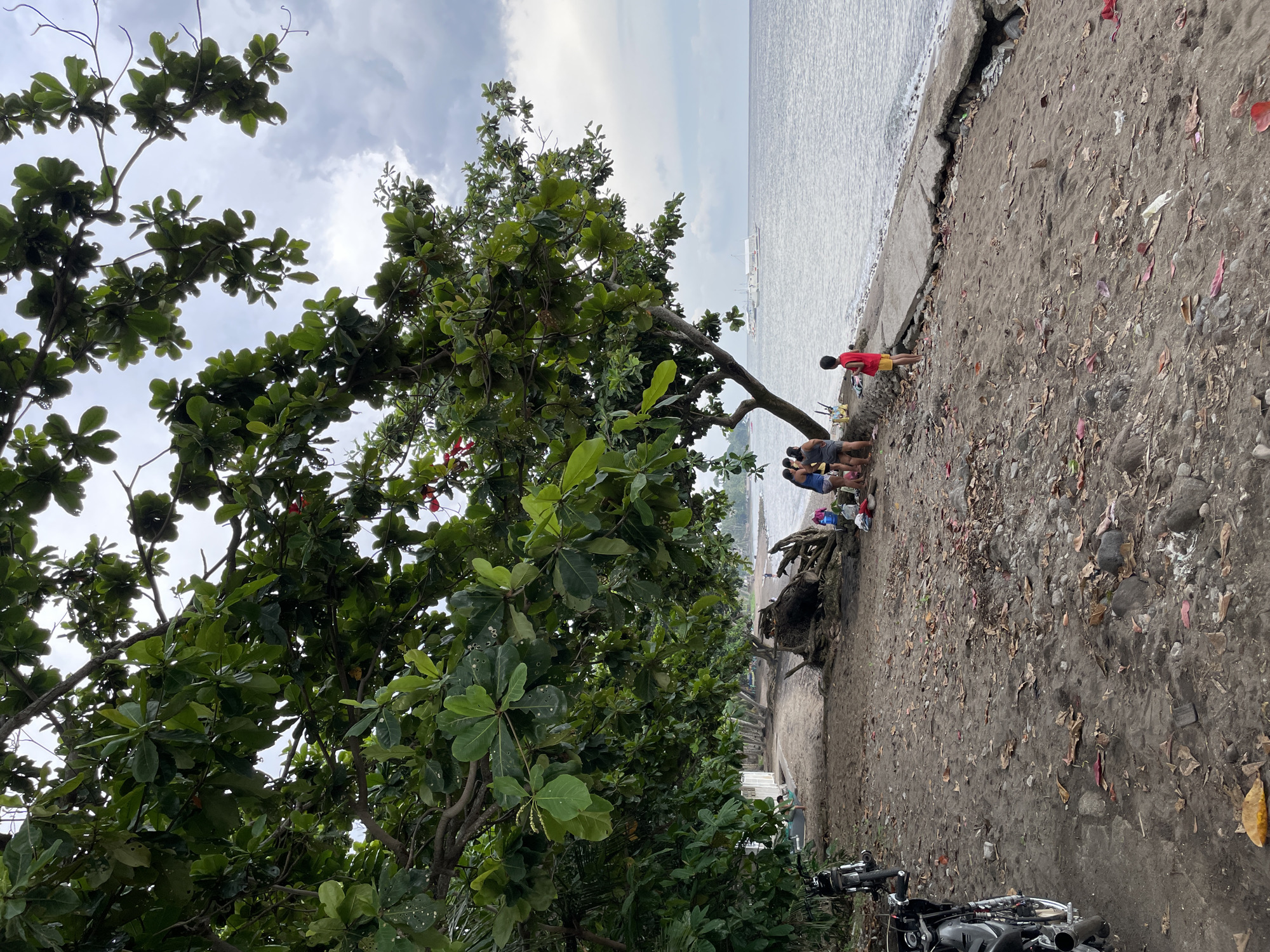 The image depicts a beachfront scene in Dauin, Philippines, under an overcast sky. A large tree with dense green foliage dominates the foreground, its branches extending over a sandy and somewhat debris-strewn beach. To the left, two motorcycles are parked on the sand. Further down the beach, a group of individuals, appearing to be a family, are gathered near the base of the tree. They are casually dressed, with some standing and others sitting. A young boy in a red shirt and yellow shorts stands slightly apart, facing the sea.
The shoreline is a mix of sand and a cracked concrete embankment, with evidence of erosion and debris, including driftwood and fallen leaves. The ocean stretches out to the horizon, with several boats, including what appears to be a white passenger ferry, visible in the distance. The overall atmosphere is tranquil, suggesting a relaxed day by the sea.