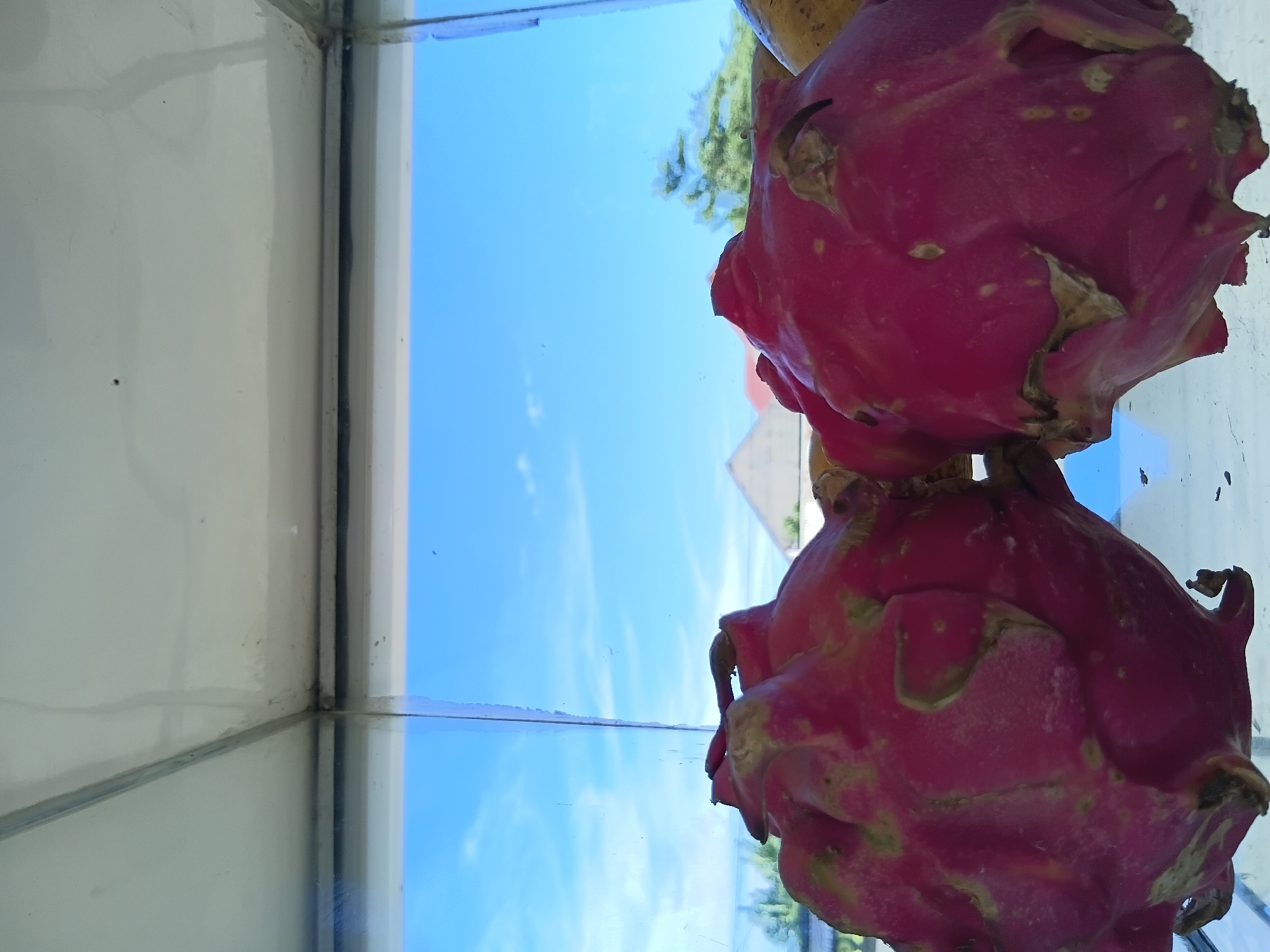 Two dragon fruits are stacked on top of each other near a window. The window offers a view of a bright blue sky with some clouds, and trees are visible in the background. The location is Lhokseumawe, Indonesia. The image is taken from inside a building, looking out through the window.