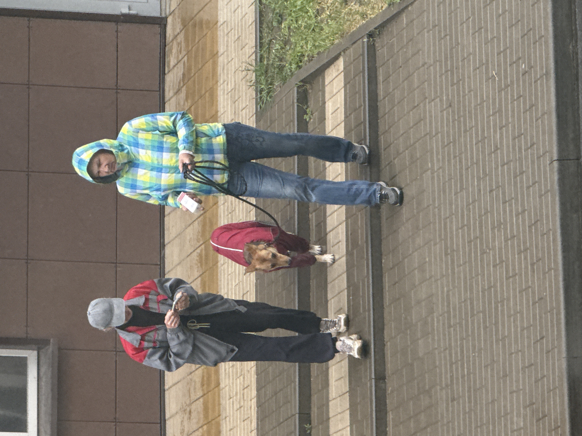 Two people are walking on a paved sidewalk adjacent to a building. The person on the left is wearing a red and grey jacket with dark pants and a grey cap. The person on the right is walking a dog. The dog is wearing a red coat. The person is wearing a blue and green plaid jacket, jeans, and sneakers. The location appears to be an urban environment. The walls appear to be tile in a light brown. The location can not be determined.