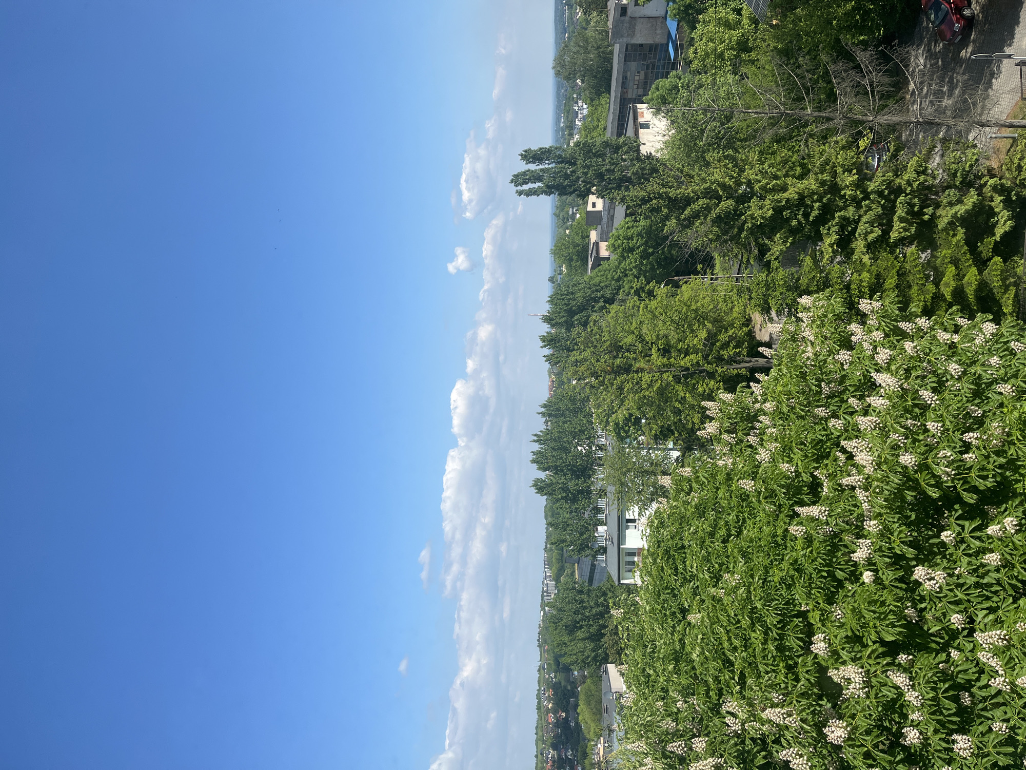 The image shows an elevated view of a cityscape on a sunny day. The sky is blue with some scattered white clouds. The right side of the image features a dense collection of green trees, some of which are flowering with white blossoms. Several buildings are interspersed among the trees. In the background, the cityscape extends toward the horizon, where a body of water is visible. A road with a red car parked can be seen in the upper right corner. The city location is unknown.