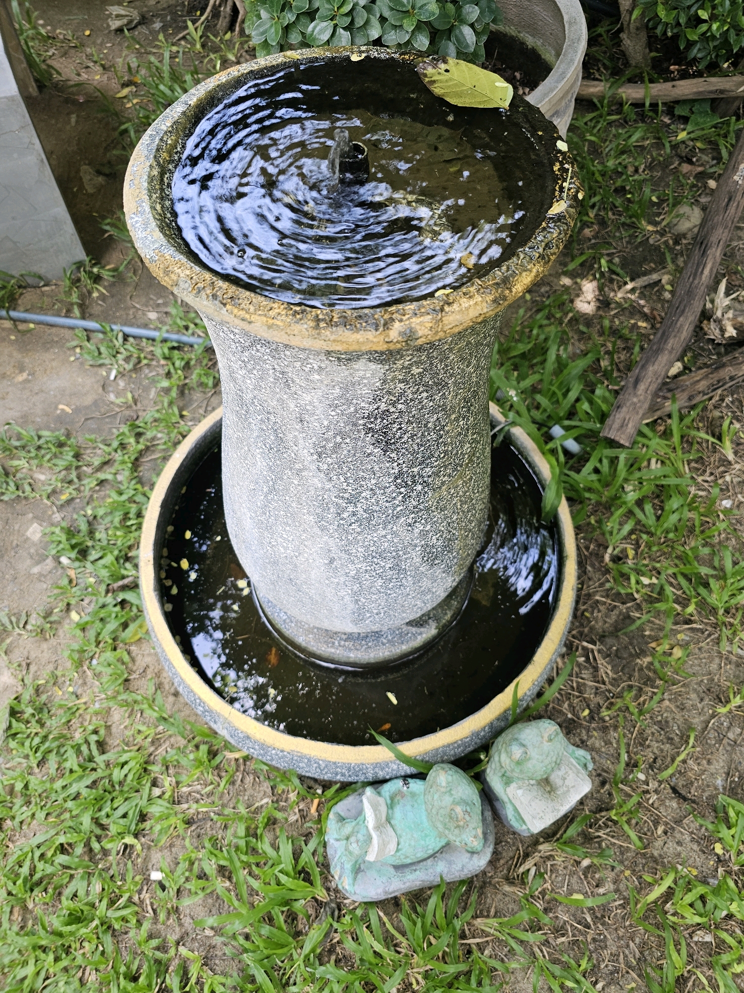 An outdoor scene in Bangkok, Thailand features a weathered, grey stone birdbath with a yellow rim. Water flows from a small spout in the center, creating ripples on the surface. A single green leaf rests on the water. The birdbath is surrounded by lush green grass and a dirt path. Two small, weathered green frog statues are placed near the base of the birdbath, one lying down and the other sitting up. In the background, there are glimpses of a large grey pot and dense green foliage. The scene appears to be in a garden or courtyard setting.