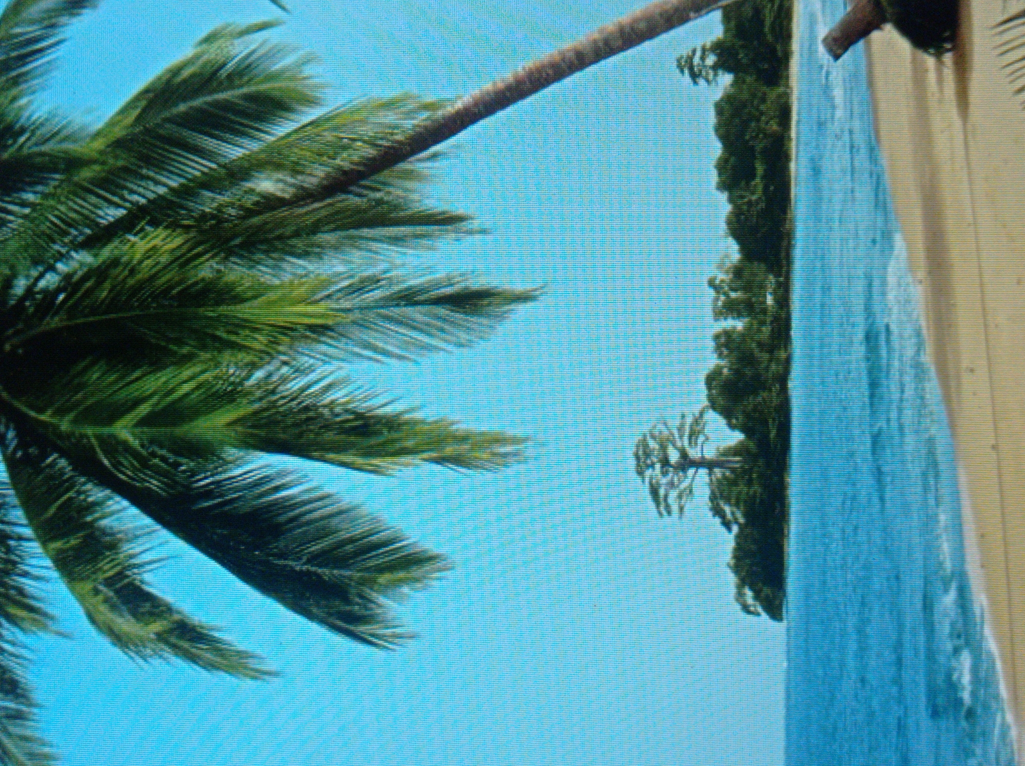 The image displays a tropical beach scene with a foreground of sand and a portion of a palm tree trunk. The mid-ground features calm blue ocean water with gentle waves approaching the shore. In the background, a lush green island is visible, densely populated with trees, including a distinctive, large, umbrella-shaped tree. The sky is a clear, bright blue. There are no people or buildings depicted in the image. The location is not in Mukachevo, Ukraine, as this is a tropical environment.
