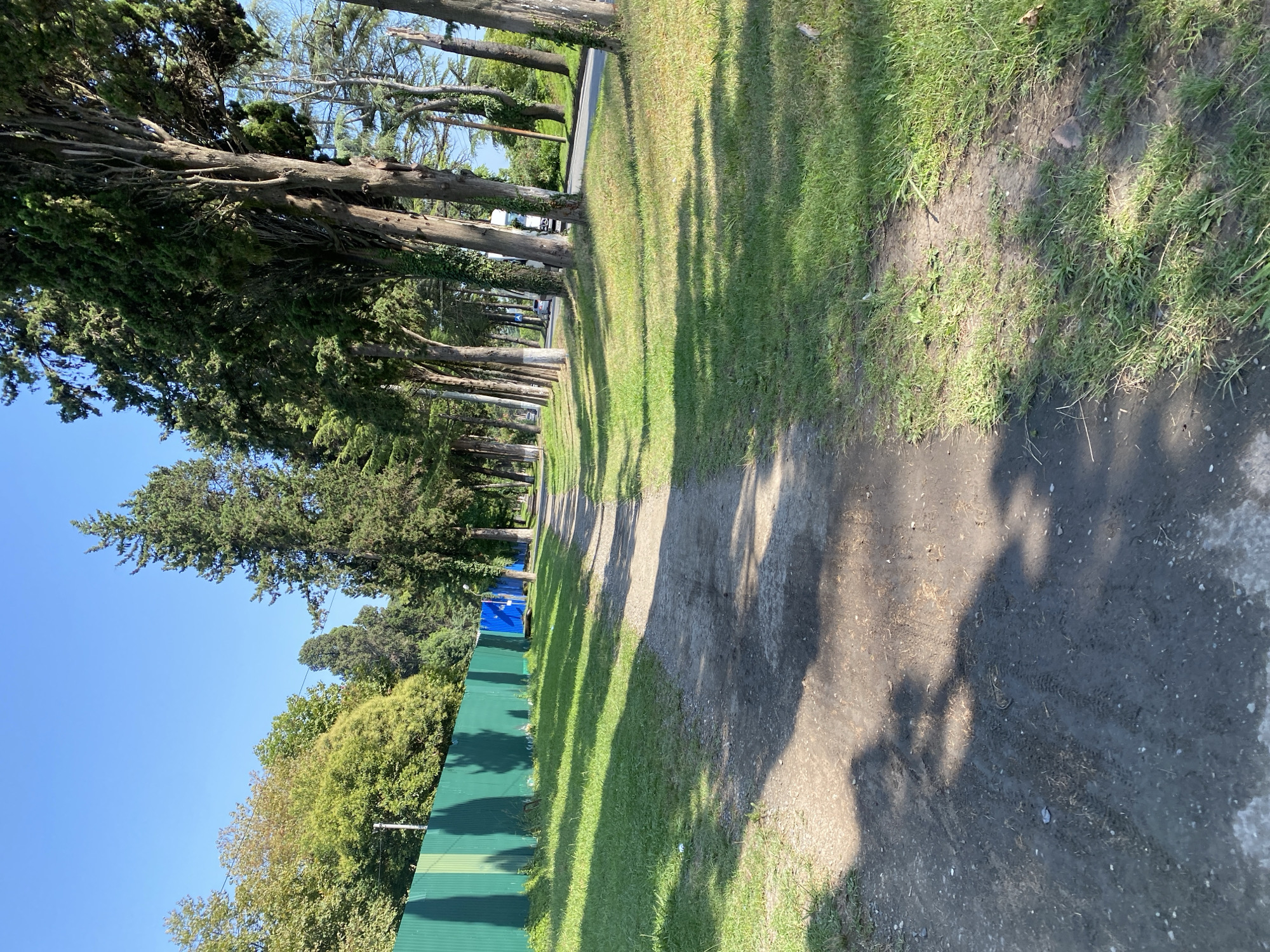 The image depicts a dirt path running alongside a green metal fence and a row of tall trees, likely cypress trees given the location. The path is unpaved and shows tire tracks. To the right of the path, there is a grassy area with dappled sunlight. Beyond the trees, a road is visible with some vehicles. The scene appears to be in a park or along a residential street. The clear blue sky suggests it is a sunny day. The location is identified as Sokhumi, Abkhazia.