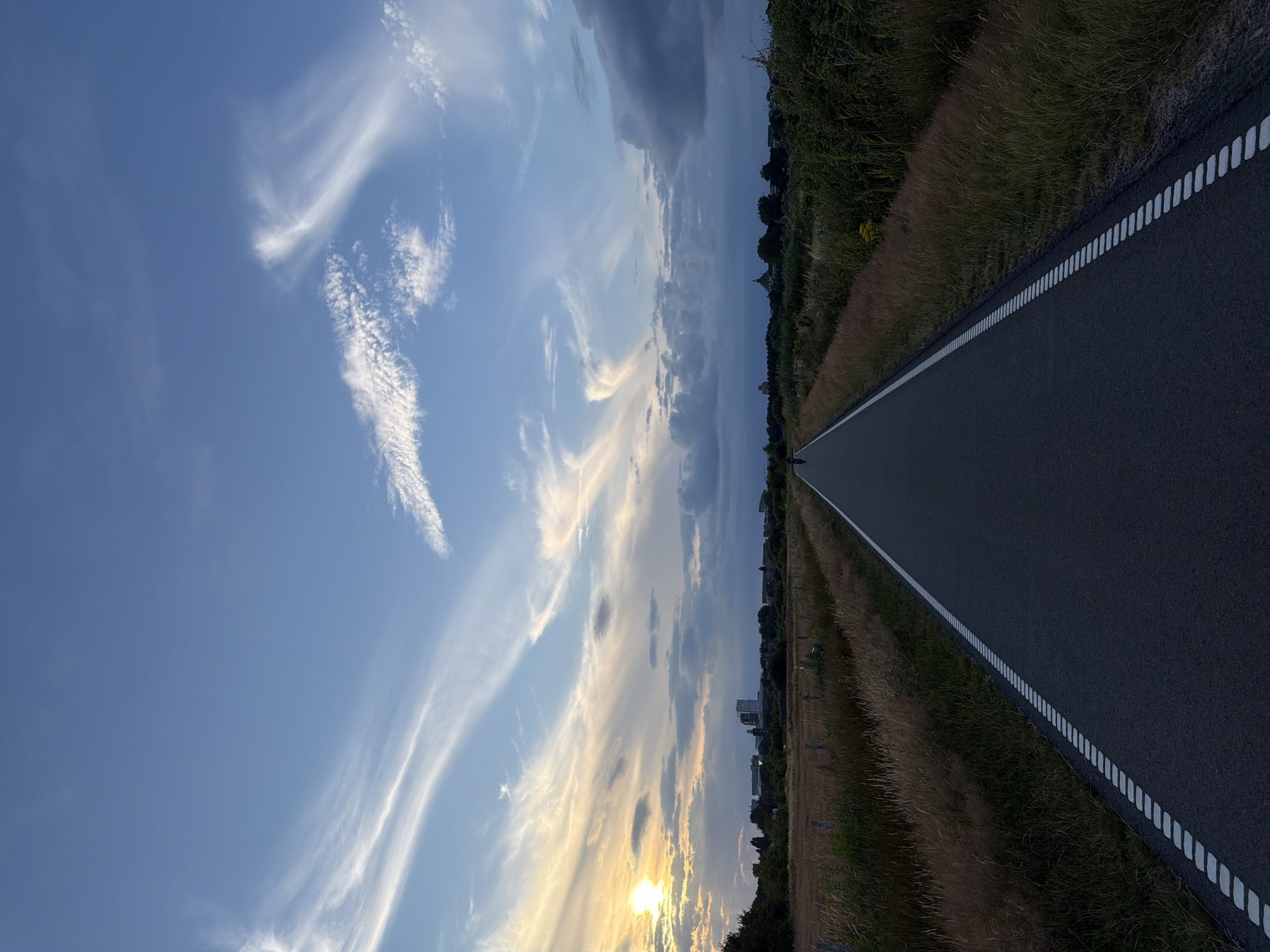 A lone cyclist is visible in the distance on a paved bike path, traveling away from the viewer. The path, marked with a dashed white line on its left edge and a solid white line on its right edge, extends into the horizon. The surrounding landscape consists of dry, tall grass on either side of the path, with a line of trees and buildings in the distance. The sky is partly cloudy with wispy clouds illuminated by the setting sun on the left. The overall scene appears to be in a rural or suburban area on the outskirts of 's-Hertogenbosch, Netherlands, likely during the late afternoon or early evening.