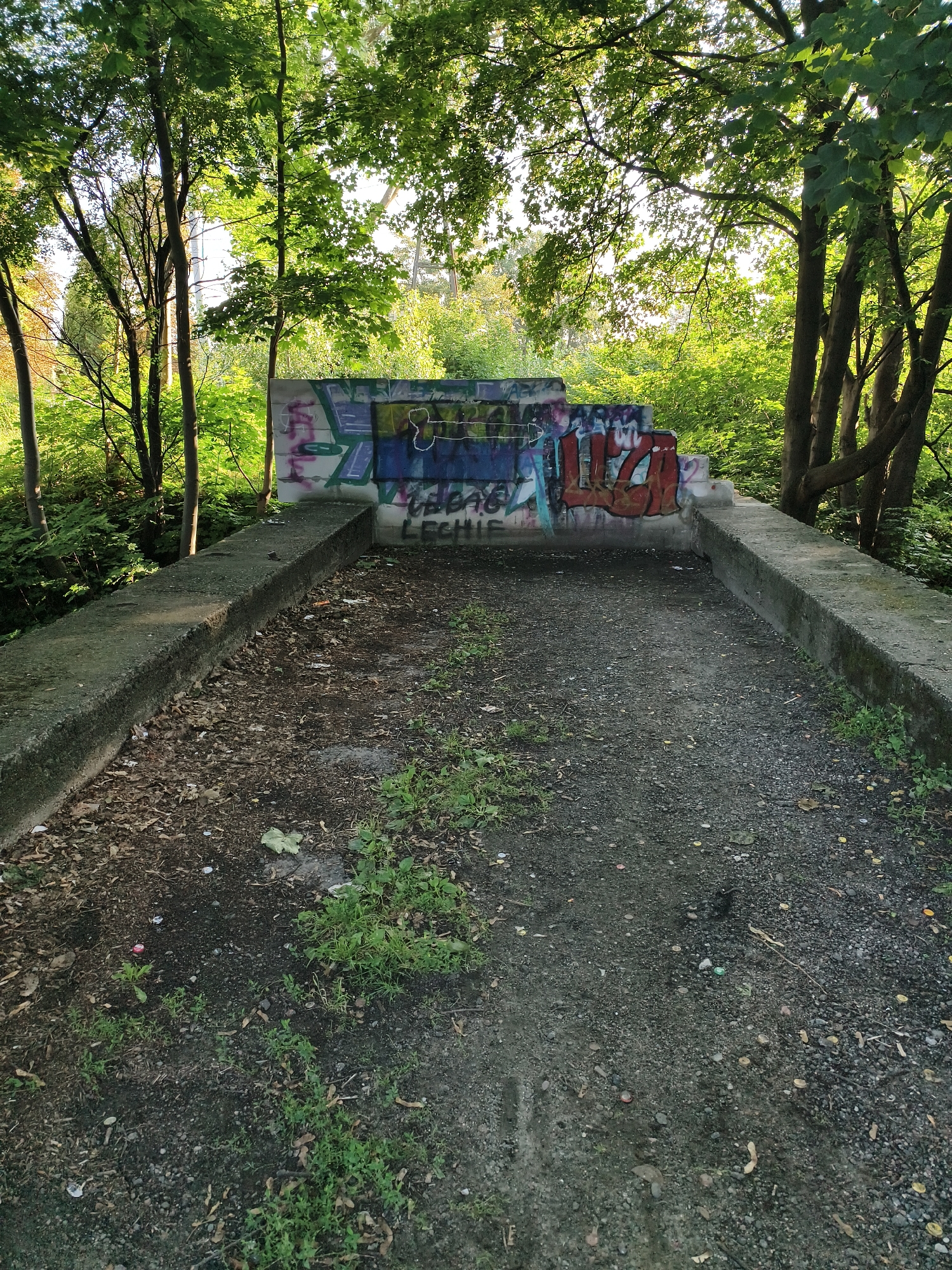 The image depicts an outdoor scene in Tczew, Poland, featuring a weathered concrete structure adorned with graffiti. The structure appears to be a raised platform or walkway, with dense green foliage from trees surrounding it. The ground in front of the structure is covered with a mixture of dirt, gravel, and fallen leaves, with patches of grass growing. The graffiti on the concrete wall is colorful and abstract, with some legible words, including "LECHIA." The sunlight filters through the leaves, creating dappled lighting on the scene. The overall impression is one of an overgrown, somewhat neglected urban space.