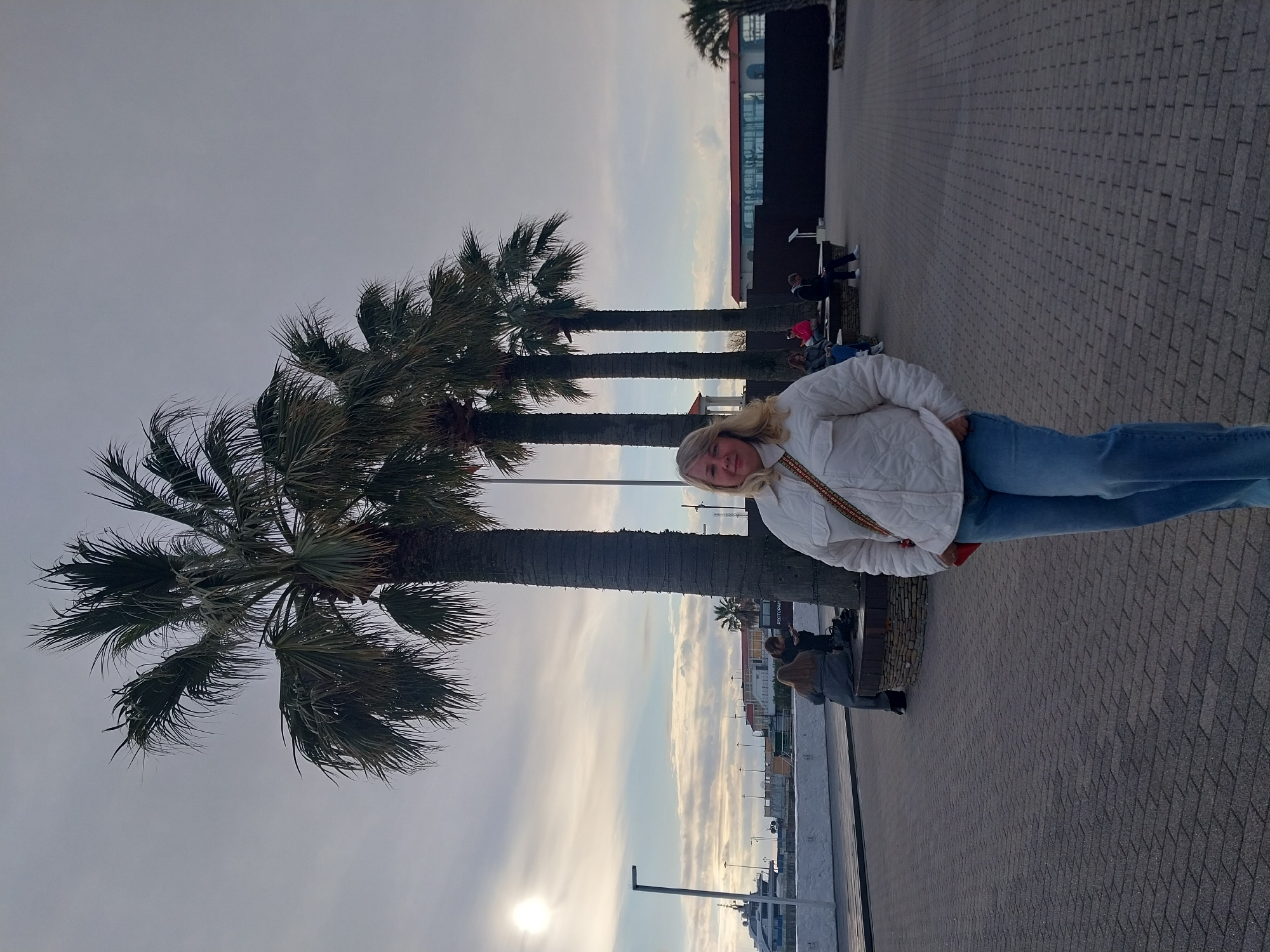 A vertically-oriented, eye-level shot depicts a woman on a sidewalk. She has fair skin and blonde hair, wears a white jacket, blue jeans and red shoes. The sidewalk, composed of dark gray bricks, spans the lower right portion of the frame. To the left, several palm trees extend upwards into the sky, which is a gradient of gray at the top, transitioning to brighter tones near the sun at the bottom.
In the background, partially obscured by the palm trees, is a waterfront area with buildings and other structures, including what appears to be a pier. The presence of palm trees suggests the location is likely Sochi, Russia. Other people are seated on a bench in the background.