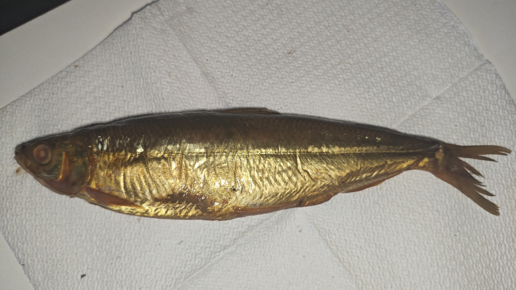 A single, cooked fish, golden-brown in color, lies horizontally on a white, textured paper napkin. The fish is oriented with its head facing left and its tail to the right. Its scales are visible, and a prominent lateral line runs along its body. The fish's eye is visible, appearing dark with an orange iris. The napkin is spread out on a dark, flat surface, possibly a table. The lighting suggests an indoor setting. There are no people or other objects immediately present in the scene. The background is out of focus, but it appears to be a dark, solid surface. The image was taken in Serebriansk, Kazakhstan.