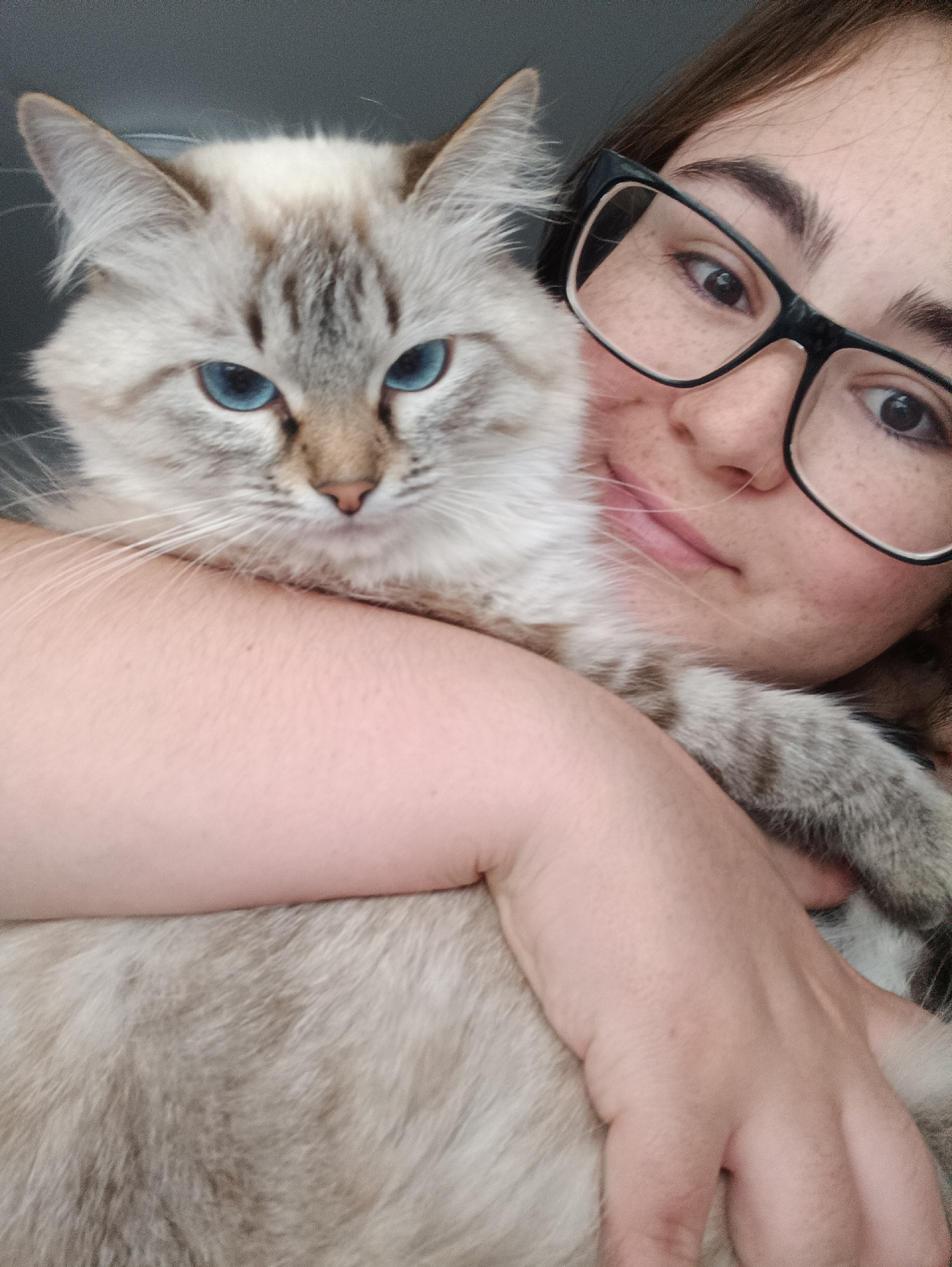 A close-up, overhead selfie shows a person and a cat. The person, wearing black-rimmed glasses, has light brown hair and fair skin with freckles. They are holding a fluffy, light-colored cat with striking blue eyes. The cat is partially obscuring the person's face and is wrapped around their arm. The background is a plain, dark gray surface, possibly a wall or furniture. The image does not contain any information that would indicate a specific location in Noviy, Russia.