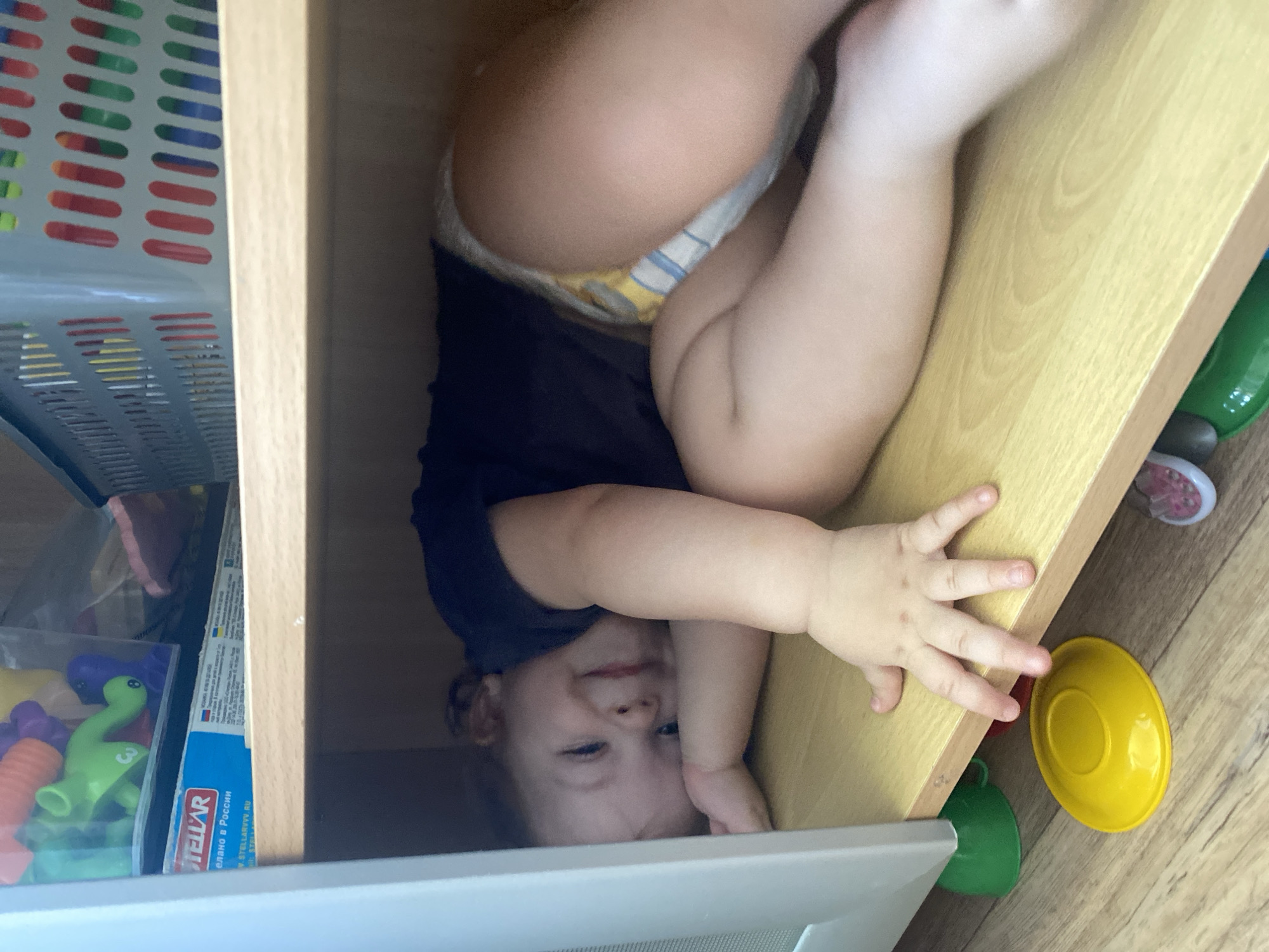 A young child, likely a toddler, is captured in a playful moment, tucked inside a light wood-colored cabinet or shelf compartment. The image is oriented sideways, presenting the child upside down relative to the viewer. The child wears a dark t-shirt and a patterned diaper with yellow and blue stripes. Their face, partially obscured by an arm, looks towards the camera with a subtle, playful smile. Their arms and legs are bent to fit within the confined space.
To the left of the child within the cabinet, there are white perforated storage baskets containing colorful items, including red, green, and blue blocks. Below these, a clear bag holds various toys, such as a green dinosaur figure and purple and orange building pieces. A blue and white box next to the toys displays the text "STELLAR" and "Сделано в России" (Made in Russia), along with "WWW.STELLAR-VV.RU". Below the cabinet, on a wooden floor, a bright yellow plastic bowl and a green plastic cup are visible. The scene depicts an indoor setting, likely a home, highlighting a child's curious exploration of their surroundings.