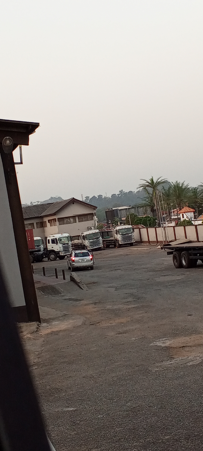 A lot with various trucks, a single silver sedan, and a flatbed trailer are present. A two-story building with a gable roof sits in the background, adjacent to a row of palm trees and a white-walled structure. The area appears to be a storage or parking lot. The lighting suggests it may be either early morning or late evening.