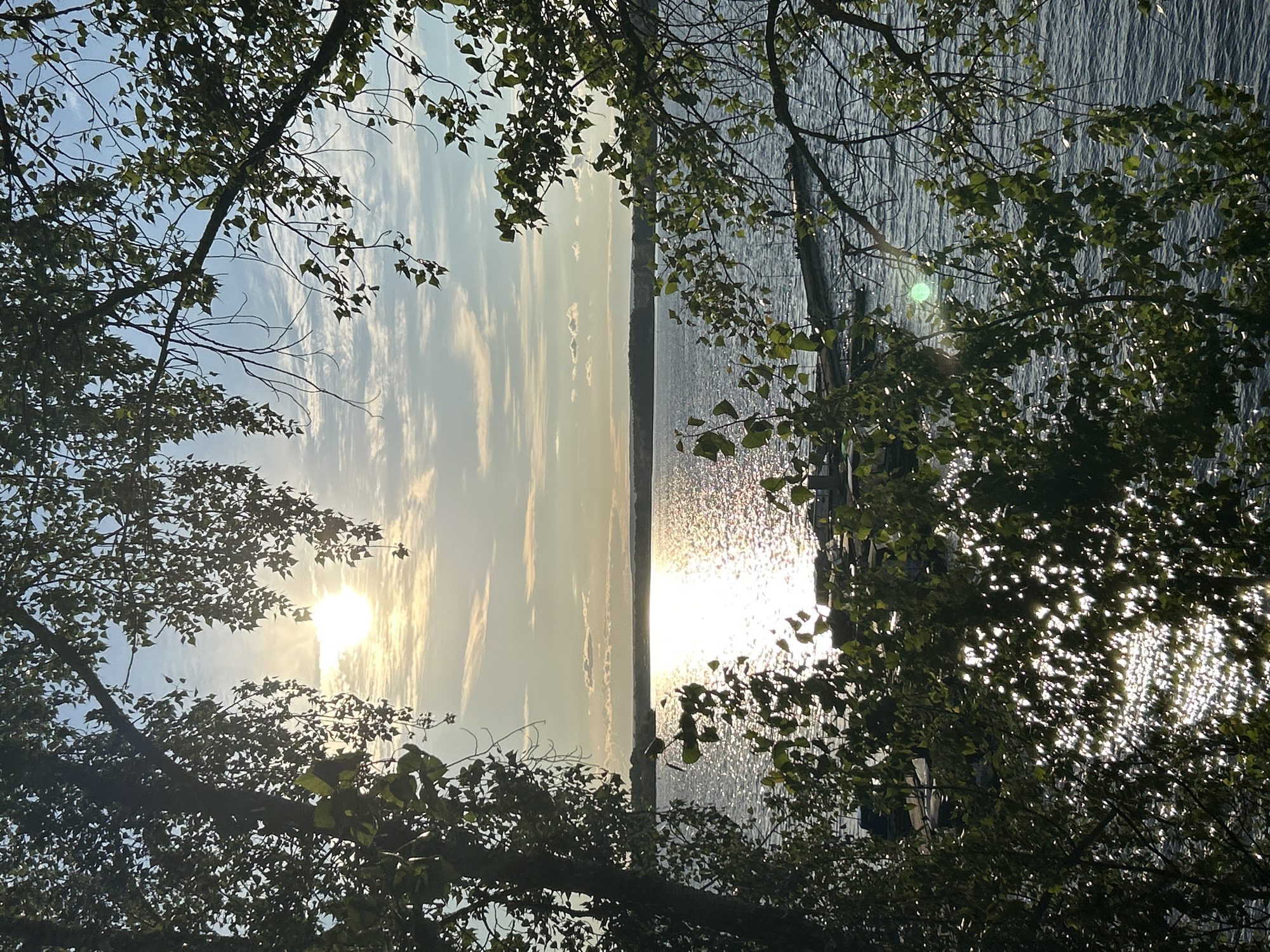 The image depicts a serene natural scene, likely a waterfront location, framed by the lush foliage of trees. The sun is setting or rising, casting a warm, golden glow across the sky and reflecting brilliantly on the water's surface. The sky is a mix of pale blue and soft clouds, with the sun appearing as a bright, diffused orb. The water is calm, with gentle ripples catching the sunlight, creating a shimmering effect. Silhouetted branches and leaves of trees occupy the foreground and edges of the frame, adding depth and a sense of being immersed in nature. In the distance, a landmass or shoreline can be discerned, with a subtle horizontal line separating the sky and water. The overall atmosphere is peaceful and tranquil, evoking a sense of calm and natural beauty. The time of day is clearly either sunrise or sunset, indicated by the low angle of the sun and the warm, soft lighting. There are no people or discernible objects other than the natural elements of trees, water, and sky. The location cues suggest a natural setting by a body of water, possibly a lake or a wide river. No text is visible in the image.