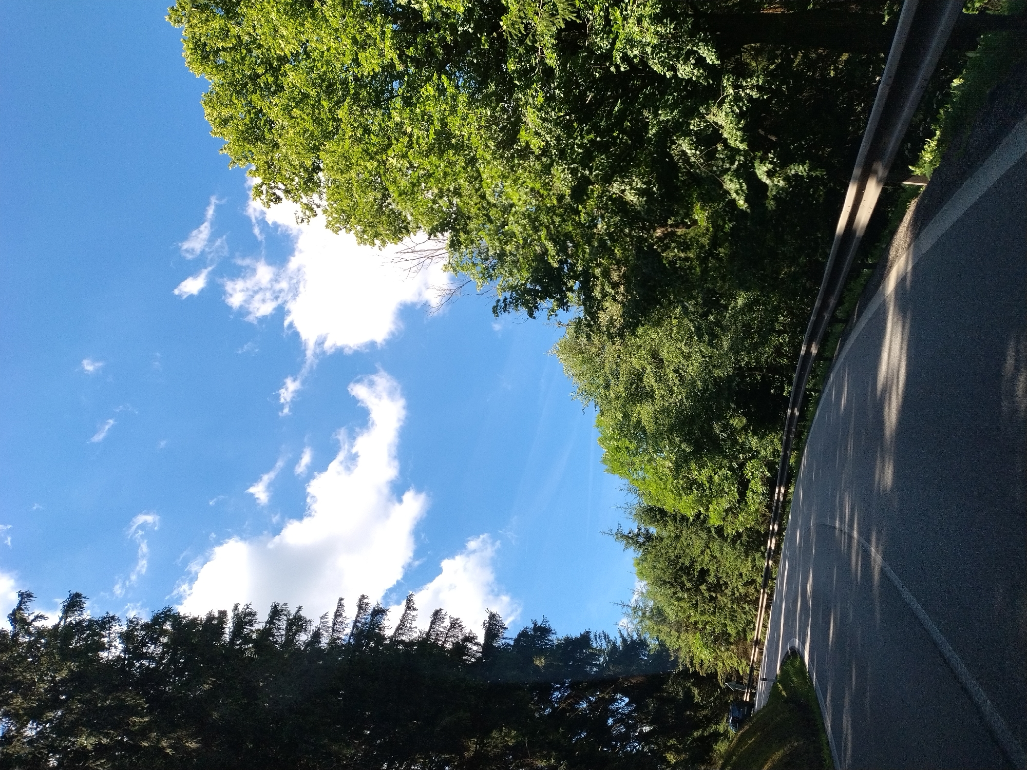 The image depicts a rural road winding through a dense forest on a sunny day. The road is paved and has a white line marking the center. A metal guardrail runs along the right side of the road. Tall, dark green coniferous trees line the left side of the road, while lush green deciduous trees form a thick canopy on the right. The sky is a vibrant blue with scattered white clouds. In the distance, a dark-colored vehicle is visible on the left side of the road, navigating the curve. The scene suggests a serene and natural environment, characteristic of a mountainous or forested region. While the city of Horní Vltavice, Czechia is mentioned, the image itself does not contain any specific landmarks or identifying features that would confirm its precise location within the city. The overall impression is one of a scenic drive through unspoiled nature.