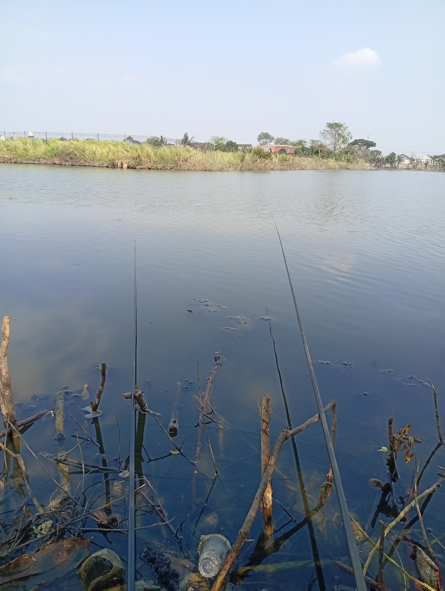 The image depicts a calm body of water, likely a pond or lake, in Karangsatu, Indonesia. Two fishing rods are positioned in the foreground, angled into the water, suggesting an active fishing scene. The water's surface is rippled and reflects the pale blue sky, with a few small pieces of debris floating on it. The shoreline is visible in the mid-ground, characterized by tall, dry grasses and some sparse vegetation. Beyond the shoreline, a fence can be seen, separating the water from a residential area with houses and trees. The overall impression is of a quiet, rural setting on a clear day.
