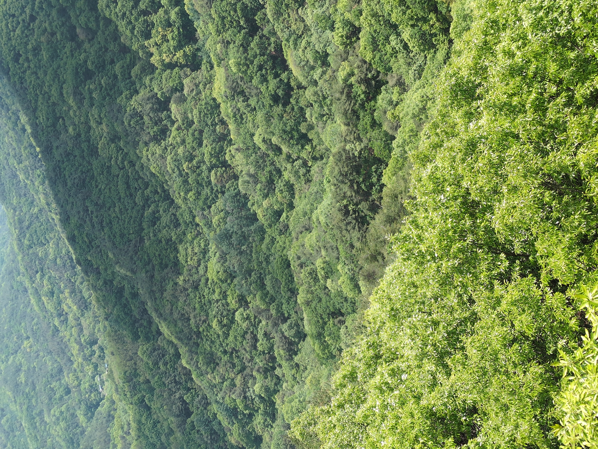 The image shows a view from a high vantage point of forested mountains in Uipyeong-ri, South Korea. The mountains are densely covered in trees, displaying a gradient of green hues. The perspective suggests the shot was taken vertically, possibly from an elevated structure or a drone. No people, subjects, objects, actions, or interactions are visible in the scene. The environment is primarily defined by its lush vegetation and mountainous terrain.