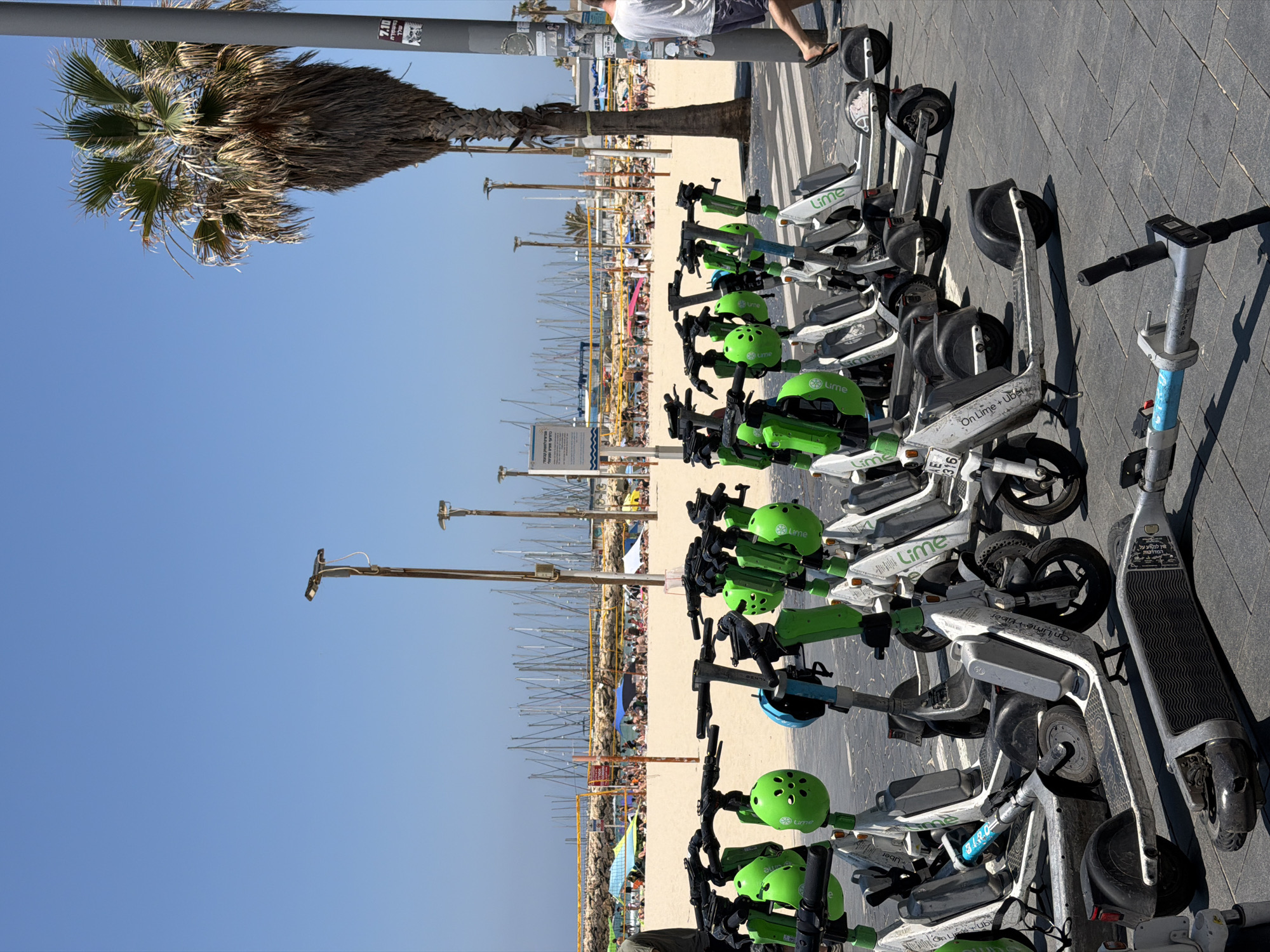 A horizontal shot shows Lime scooters parked alongside the beach in Tel Aviv, Israel. The scooters are white and gray with green accents, some of them equipped with a green helmet. The scooters are parked on a paved path. In the background, a beach is populated with people, umbrellas, and sailboats. Above the beach, the sky is a clear, bright blue. To the side, a palm tree is visible.