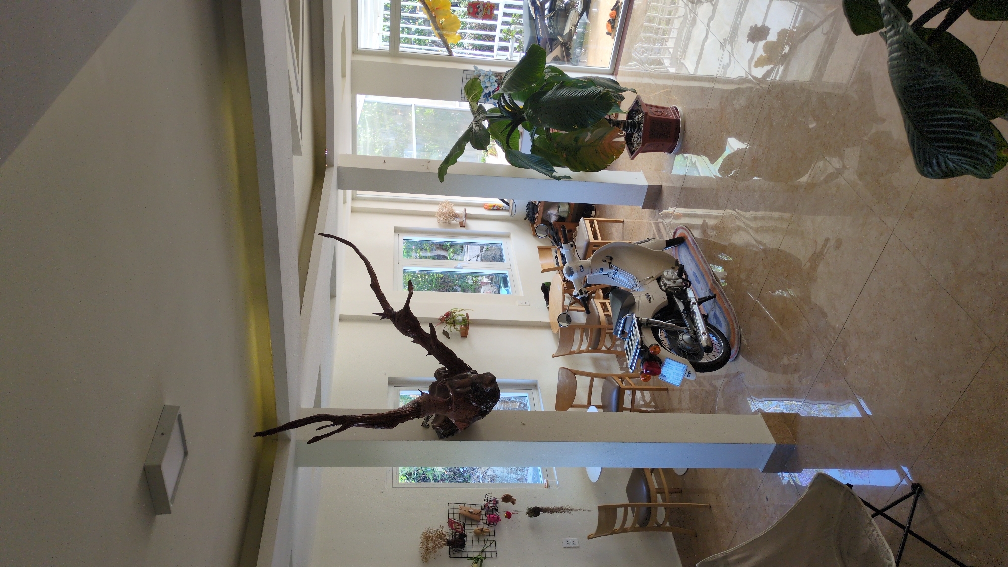 A sunlit interior space in Cam Ly - Đà Lạt, Vietnam is visible. The flooring appears to be a light brown tile. A motorcycle parked indoors rests on a small rug. A large potted plant stands in the corner. A decorative piece of driftwood is mounted on the wall. Multiple chairs and tables are arranged in the space. Natural light enters through large windows.
