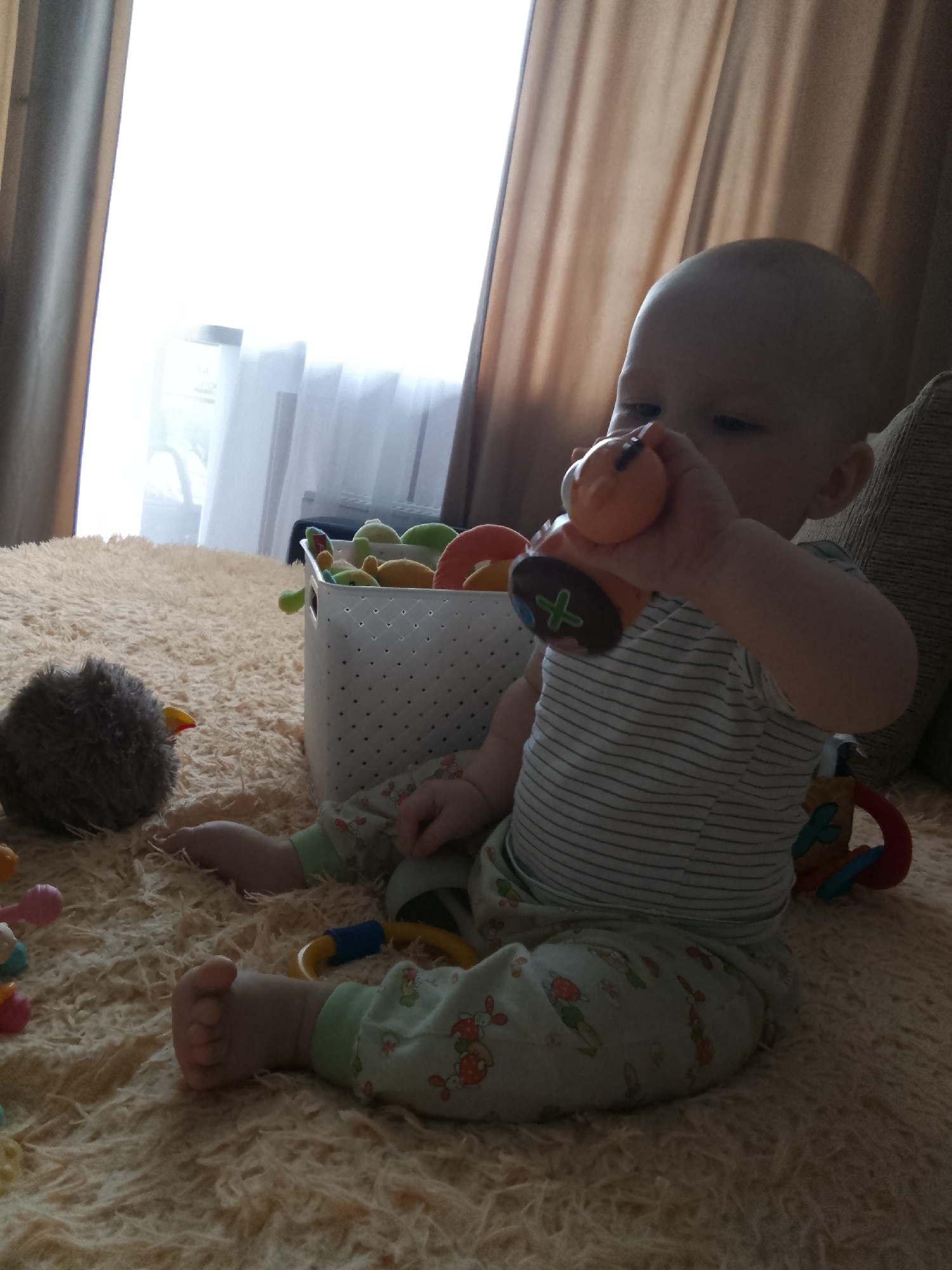 A baby is sitting on a furry, light brown carpet. The baby is wearing a striped gray and white t-shirt and light green pants with cartoon drawings of mushrooms and rabbits. The baby is holding an orange and brown toy in their right hand up to their mouth. In front of the baby, to the left, is a grey, fuzzy ball-shaped toy with a yellow beak. To the right of the baby is a white basket filled with various colorful soft toys, including a green dinosaur, a yellow plush toy, and a red and blue toy with a ring. In the background, there are brown curtains and a window with sheer white curtains, suggesting an indoor setting, likely a home. There is no indication of the specific location in Minsk, Belarus.