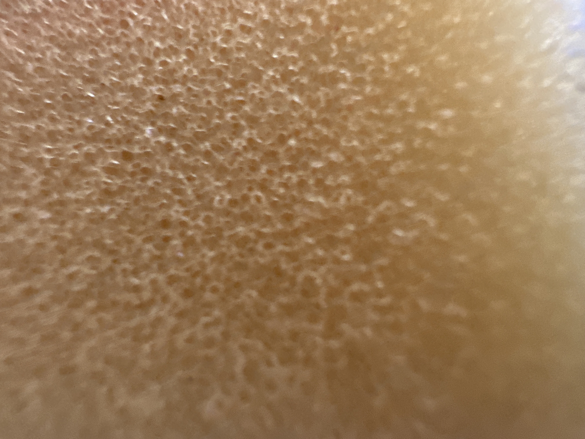 The image is a close-up, abstract shot of a porous, sponge-like material. The texture is characterized by a multitude of small, irregular holes or cells, giving it a foamy appearance. The color is predominantly a warm, light brown or tan, with some areas appearing lighter due to highlights reflecting off the surface of the pores. There are no discernible people, objects, actions, or environmental features that would indicate a specific location, including Belgrade, Serbia. The focus is entirely on the detailed texture of the material.