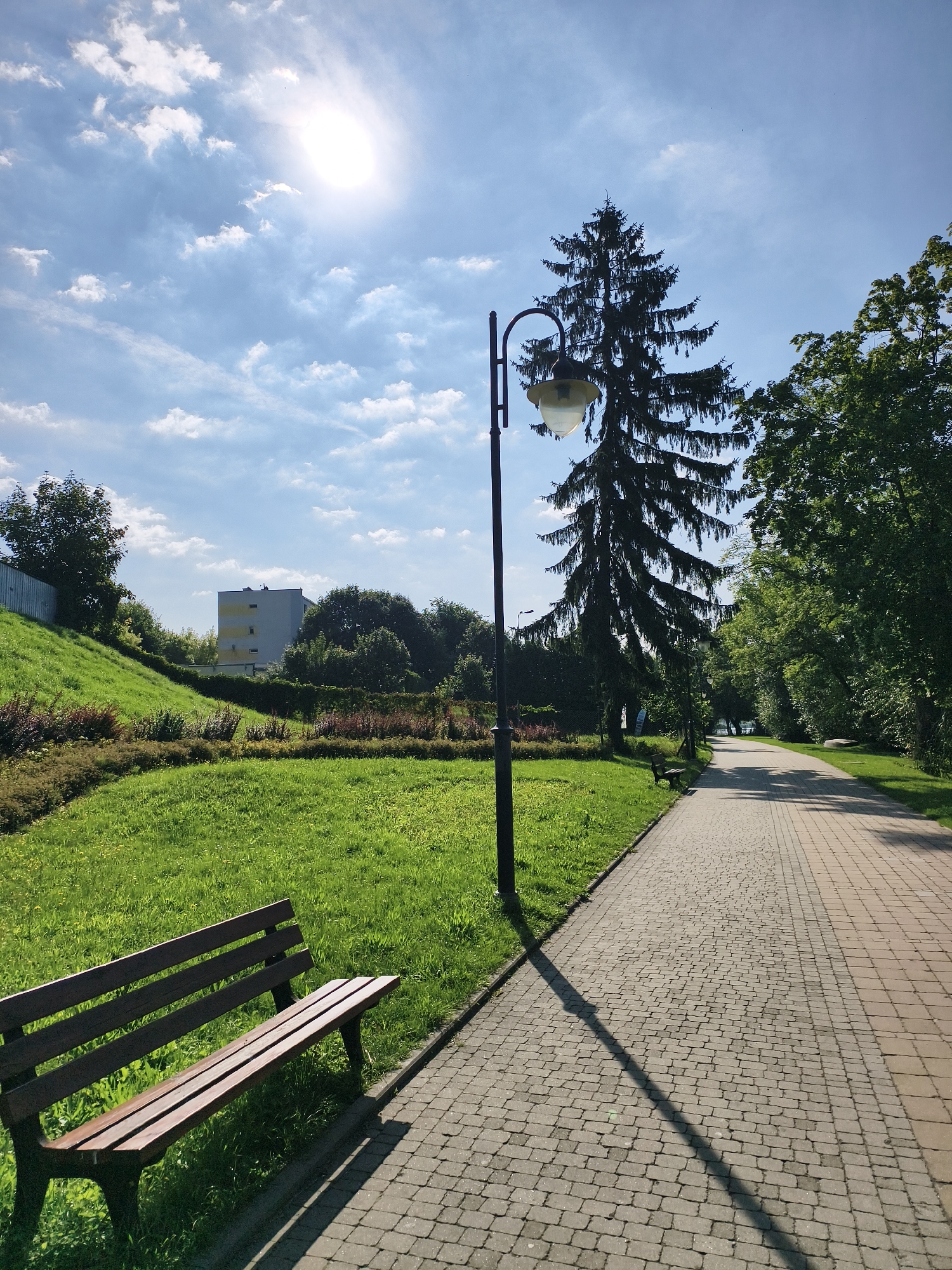 This is a high-angle, full shot of a paved park path in Sztum, Poland, on a sunny day. The path, made of light-colored pavers, curves to the right and recedes into the distance. To the left of the path is a well-maintained lawn with a brown wooden park bench in the foreground. Behind the lawn, a grassy hill slopes upwards, with a grey fence and a multi-story building visible at its crest. A large conifer tree stands near the path, casting a long shadow across the pavers, and a lamppost with a globe-shaped fixture is positioned next to it. The sky is blue with scattered white clouds, and the sun is bright and high in the sky. Lush green trees line the right side of the path, creating a shaded canopy.