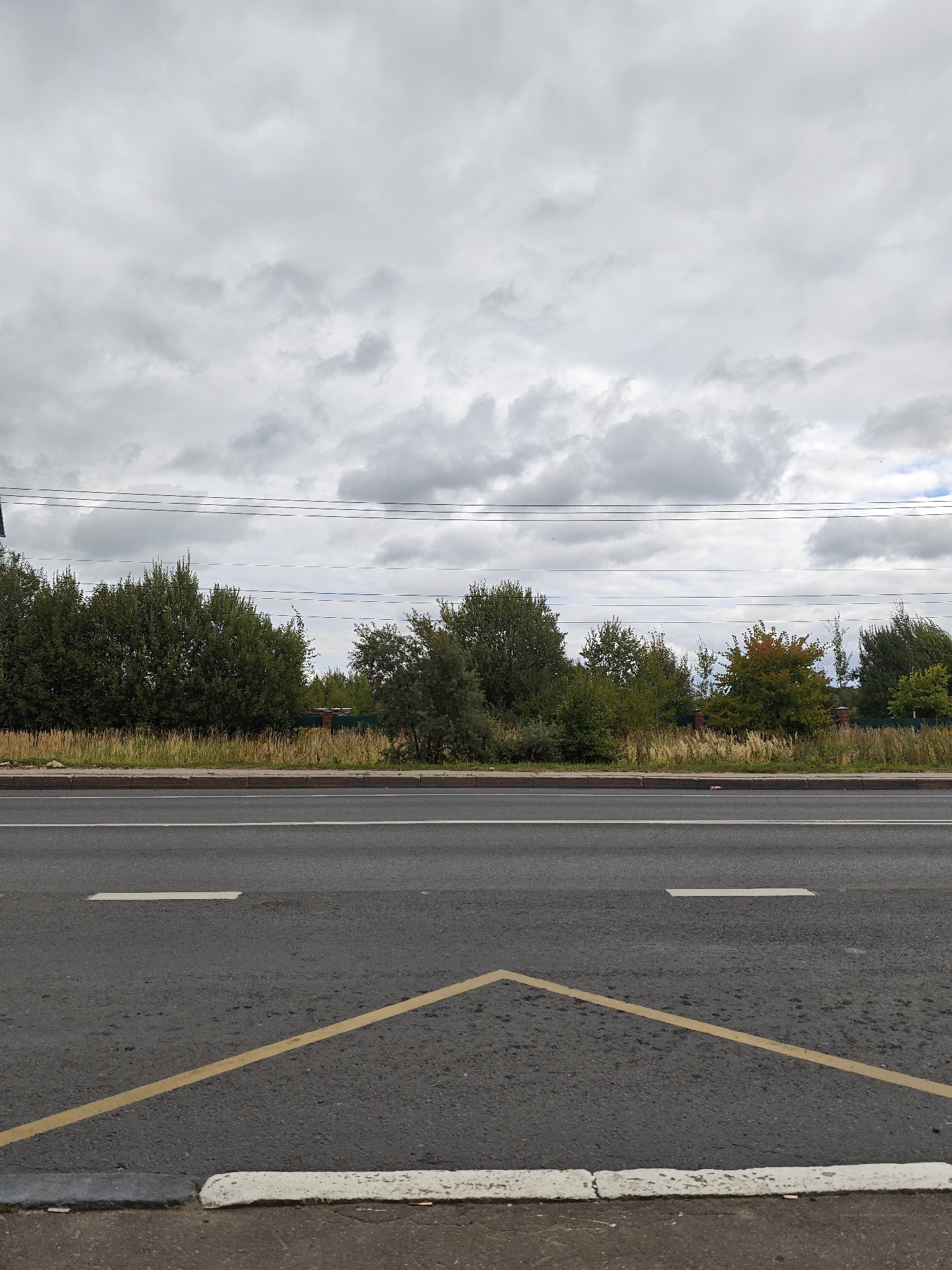 The image depicts a section of a two-lane asphalt road with visible white lane markings and a yellow directional marking at the bottom. Beyond the road is a sidewalk, followed by a strip of dry grass and vegetation. A line of dense trees, mostly deciduous and some evergreen, forms a visual barrier behind the vegetation. Several power lines stretch horizontally across the upper portion of the frame, against a backdrop of a cloudy sky. The scene appears to be located in the city of Козино, Russia, suggesting a roadside environment with natural elements bordering a transportation route. There are no people or vehicles visible in the frame, and no discernible actions are taking place. The overall impression is one of a quiet, possibly rural or suburban, roadside scene under an overcast sky.