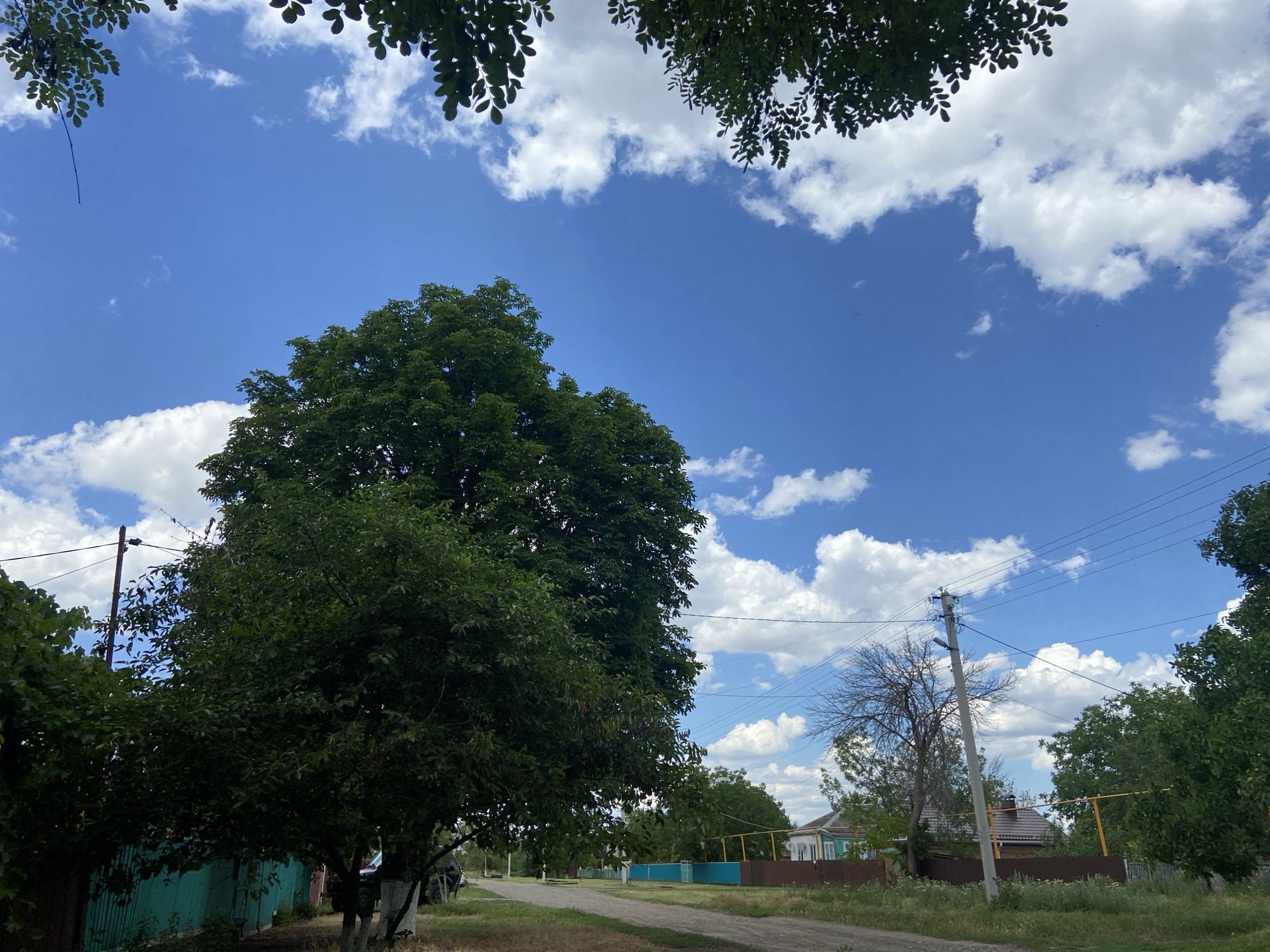 This media file depicts a daytime scene in Yegorlykskaya, Russia, under a bright blue sky dotted with fluffy white clouds. The perspective is from a low angle, looking up through the leaves of a large, dense green tree in the foreground. A dirt road, or unpaved path, leads into the distance, flanked by grass and some vegetation.
On the left side of the road, a tall, weathered green fence runs along the property line, with the base of another tree visible near its end, its trunk painted white. Further down the road, to the right, a power pole with overhead wires is prominent. Beyond the pole, a few houses are visible with rooftops and some visible architectural details. One house appears to be painted a light green with white trim, while another has a brown roof and walls. Yellow poles and wires are also present in the background.
The overall atmosphere is tranquil and suggests a rural or semi-rural setting. The sunlight and cloud formations indicate it is likely daytime, possibly late morning or early afternoon, with fair weather. There are no people or specific activities clearly depicted. The focus is on the natural elements of the sky and trees, juxtaposed with the man-made elements of the road, fence, and utility infrastructure. The presence of the power lines suggests that this is a residential area or a road leading into one. No discernible text is visible in the image.