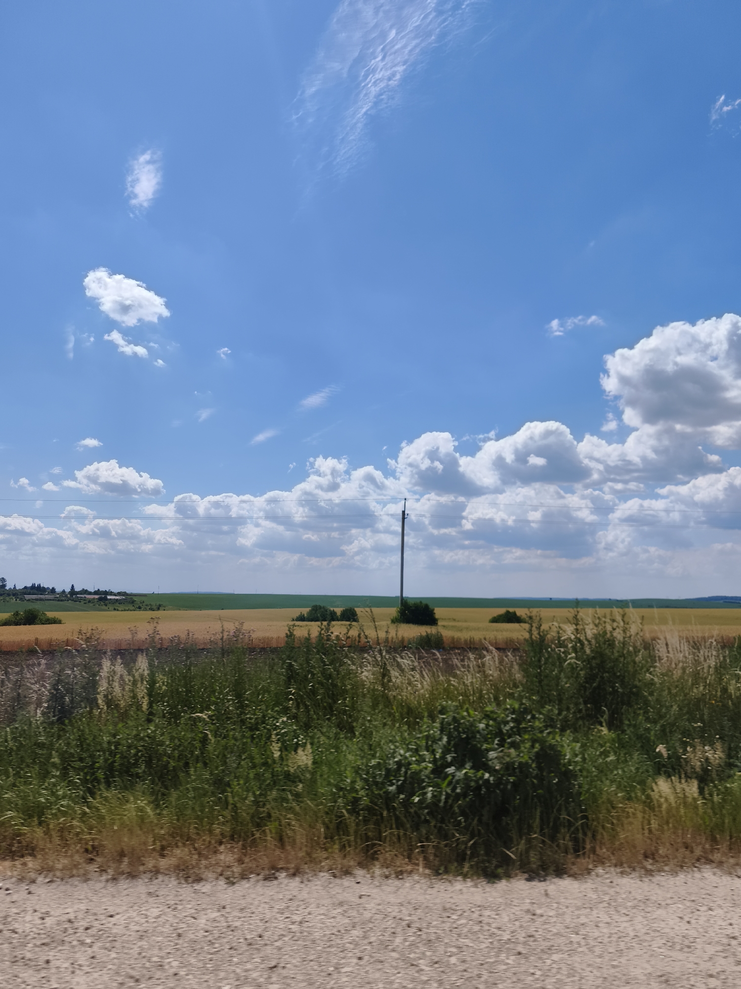A wide-angle, eye-level, landscape photograph shows a sunlit rural scene in Novi Strilyshcha, Ukraine. The image is dominated by a bright blue sky with scattered white cumulus clouds and wispy cirrus clouds. A single, dark utility pole with overhead wires stands in the mid-ground, bisecting a field of golden-brown crops. This field extends to the horizon, where it meets a strip of green farmland. In the foreground, a gravelly dirt road is visible, bordered by lush green and dry brown vegetation. The overall impression is one of a peaceful, agricultural landscape under a clear summer sky.