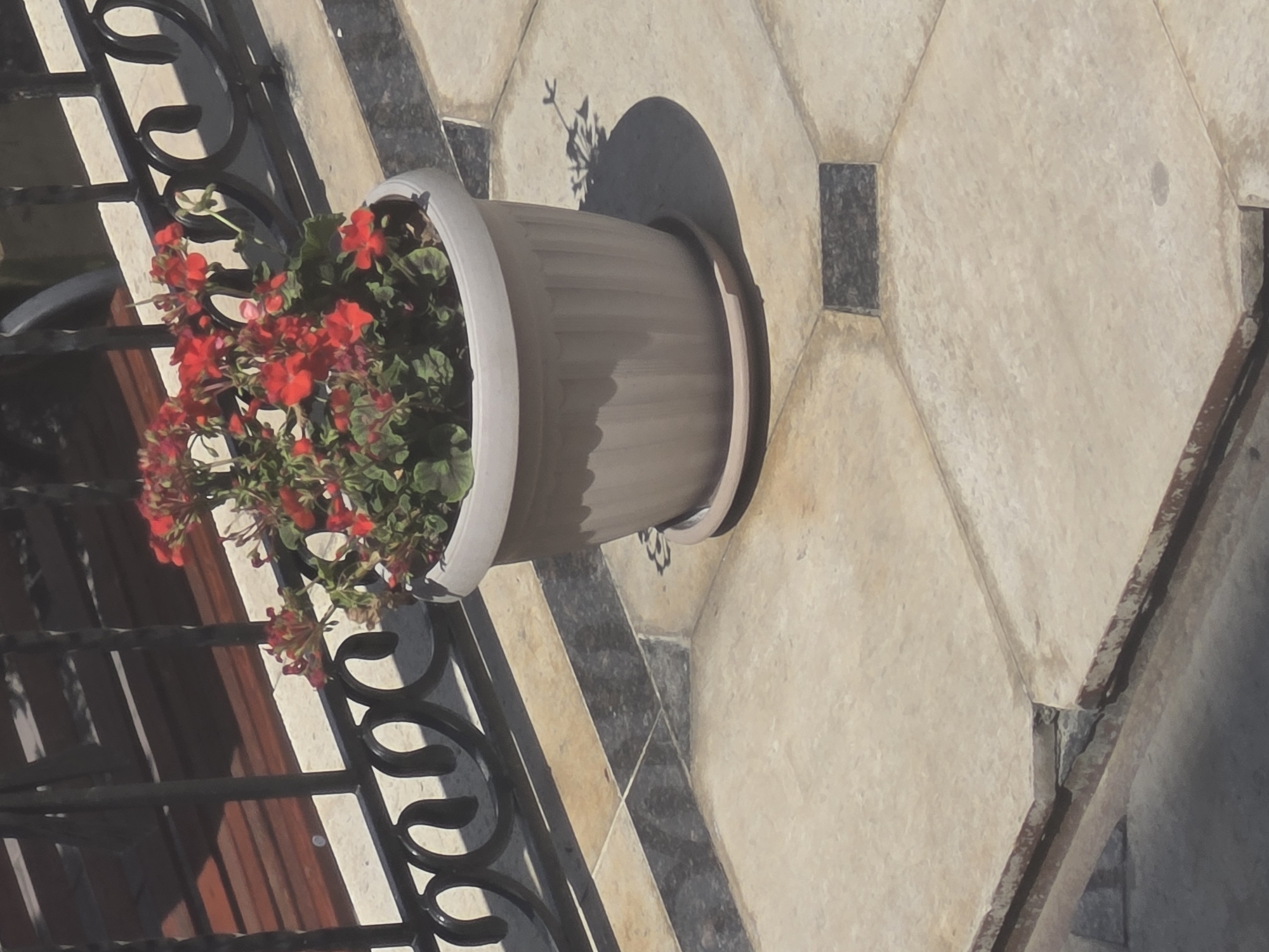 In the city of Karakol, Kyrgyzstan, a potted plant with red flowers sits on a tiled patio. The plant is in a light-colored plastic pot with a matching saucer. The patio tiles are a light beige with darker rectangular accents. Behind the plant, a black metal railing is visible, and beyond that, a wooden bench is partially obscured by shadows. The image appears to be taken from an elevated perspective, looking down at the scene.