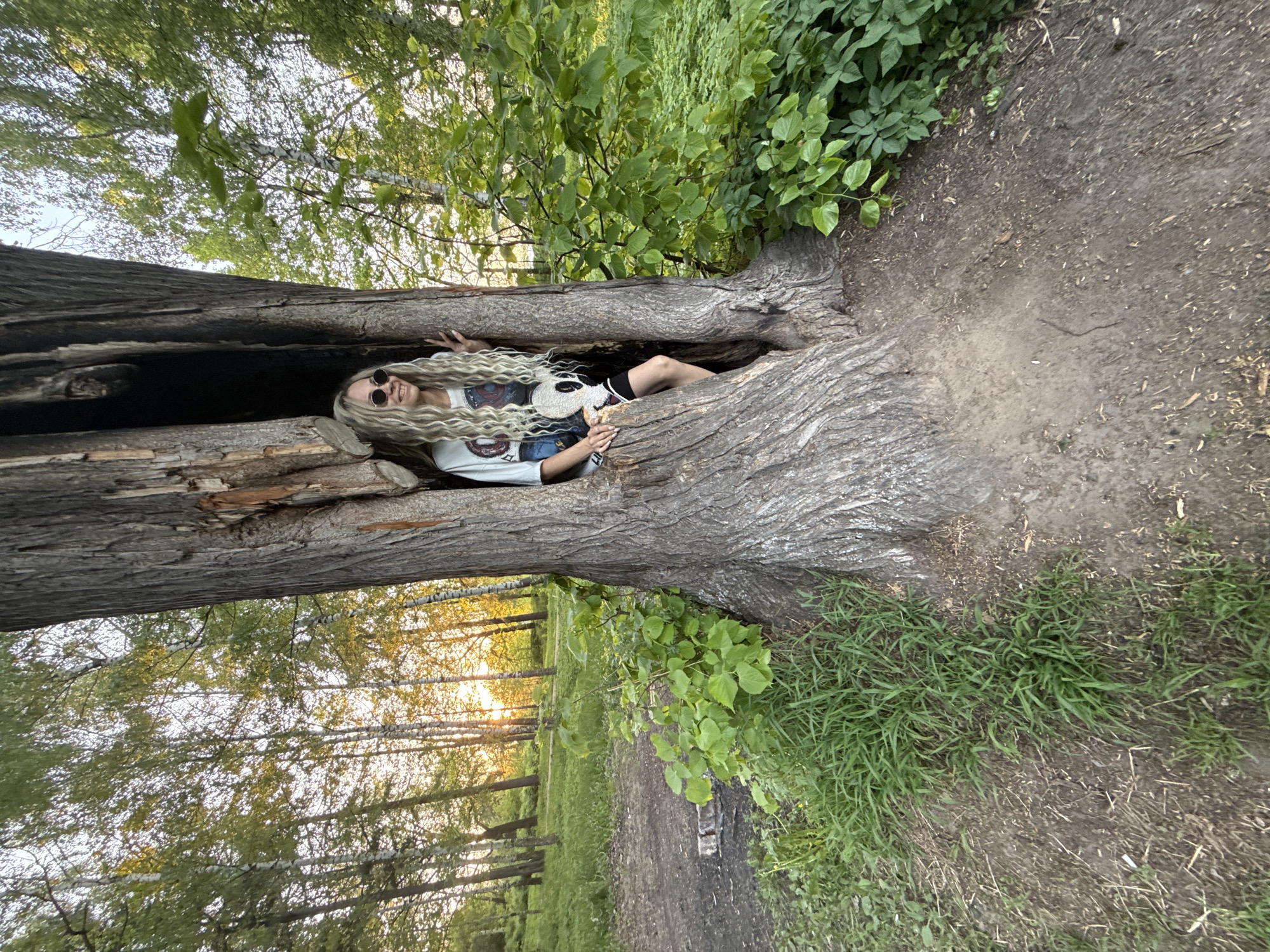A woman wearing sunglasses and a white t-shirt is lying inside a hollow tree trunk in a wooded area. The tree trunk is partially hollowed out, with dark, burnt-looking areas inside. The woman is positioned horizontally within the trunk. The surrounding environment includes grass, foliage, and other trees. The location is in Шебунино, Russia.